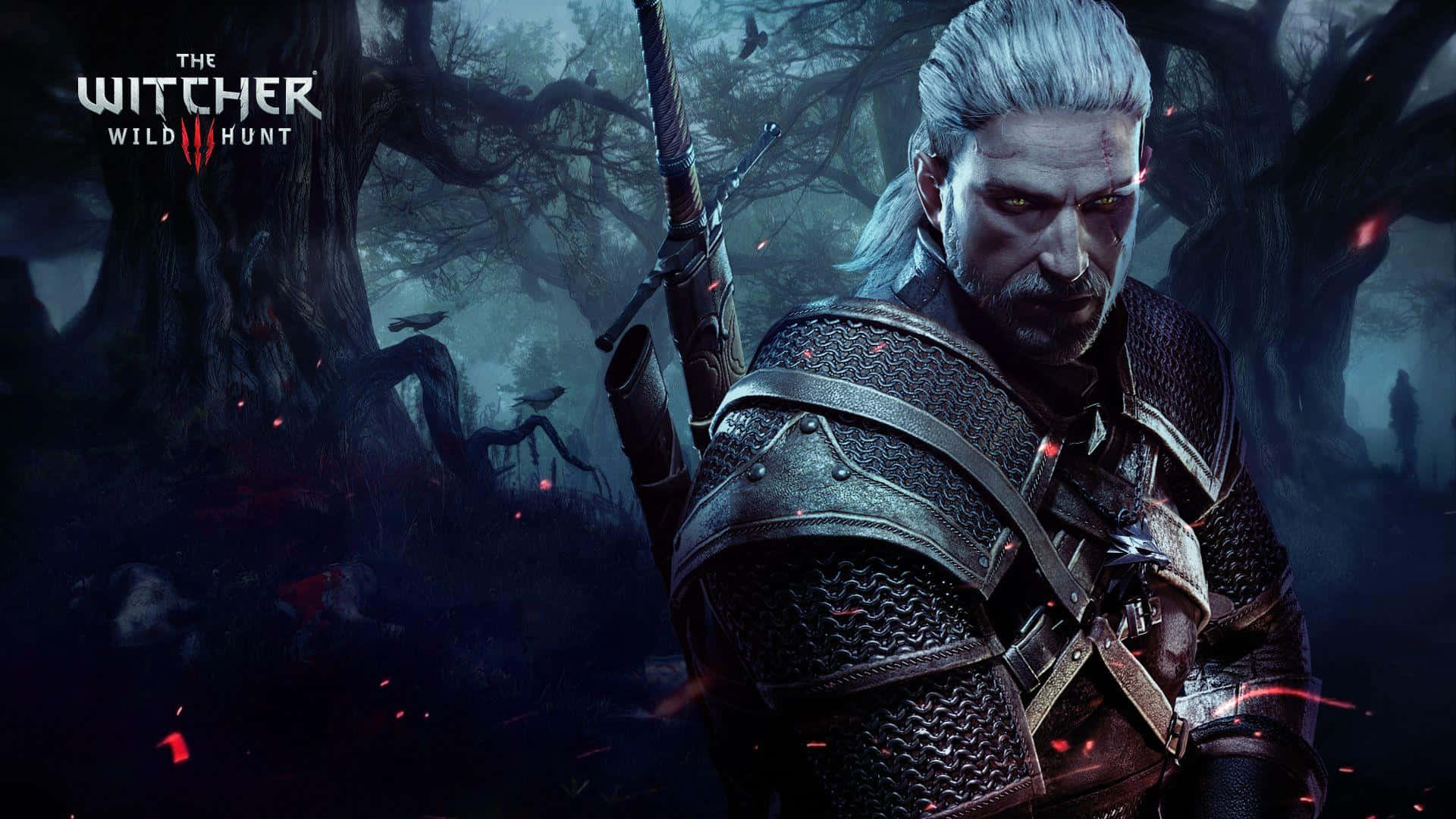 The Witcher 3 Wild Hunt, white hair, red eyes, Full HD Desktop Wallpaper