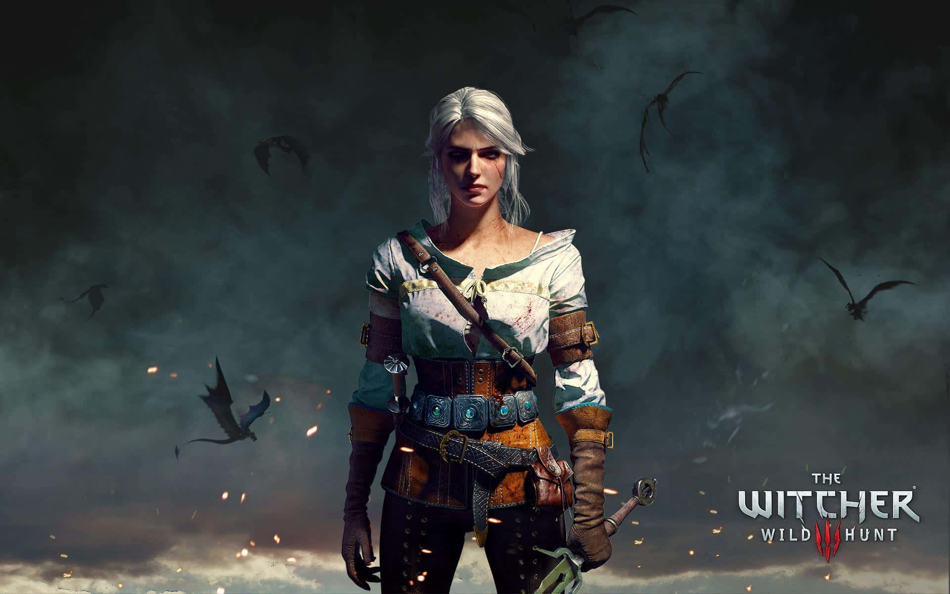The Witcher 3 Wild Hunt, witcher, white-haired witcher, Full HD Desktop Wallpaper