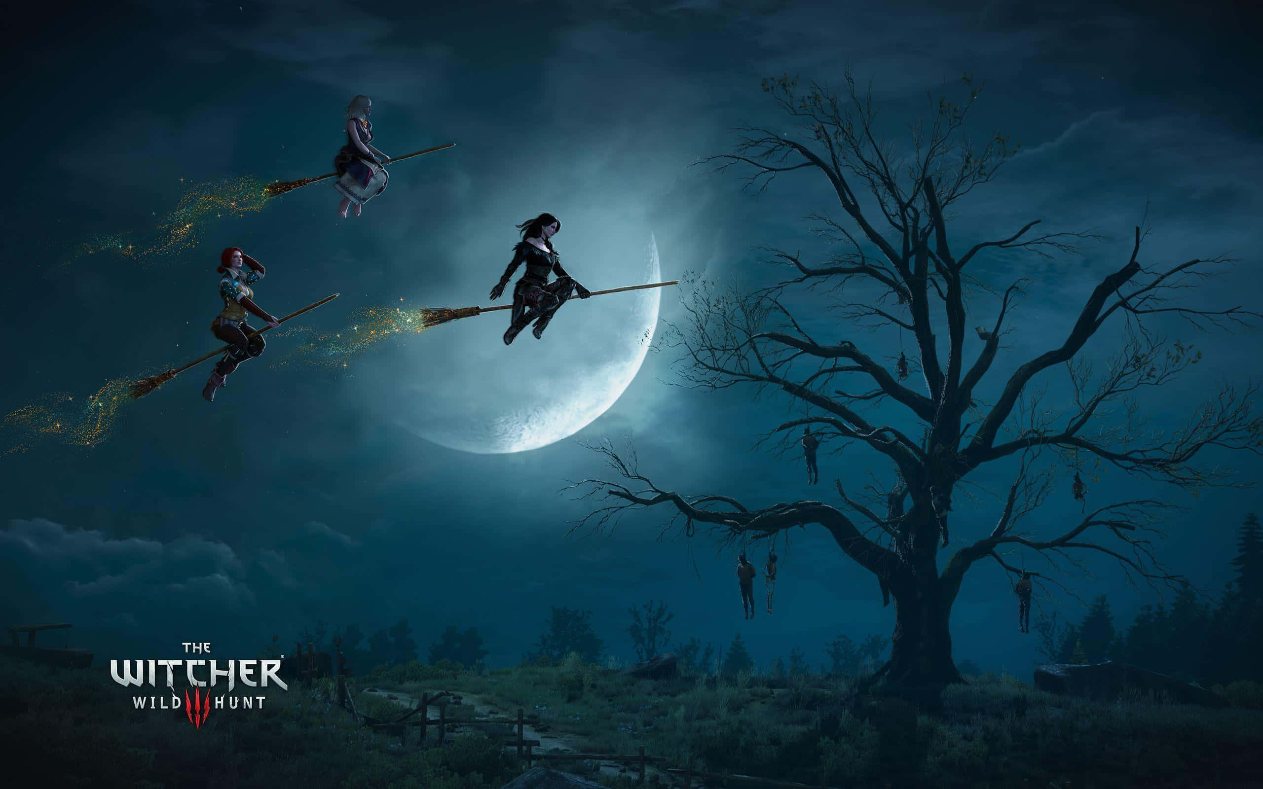 The Witcher 3 Wild Hunt, witch, crescent moon, 2K Desktop Wallpaper