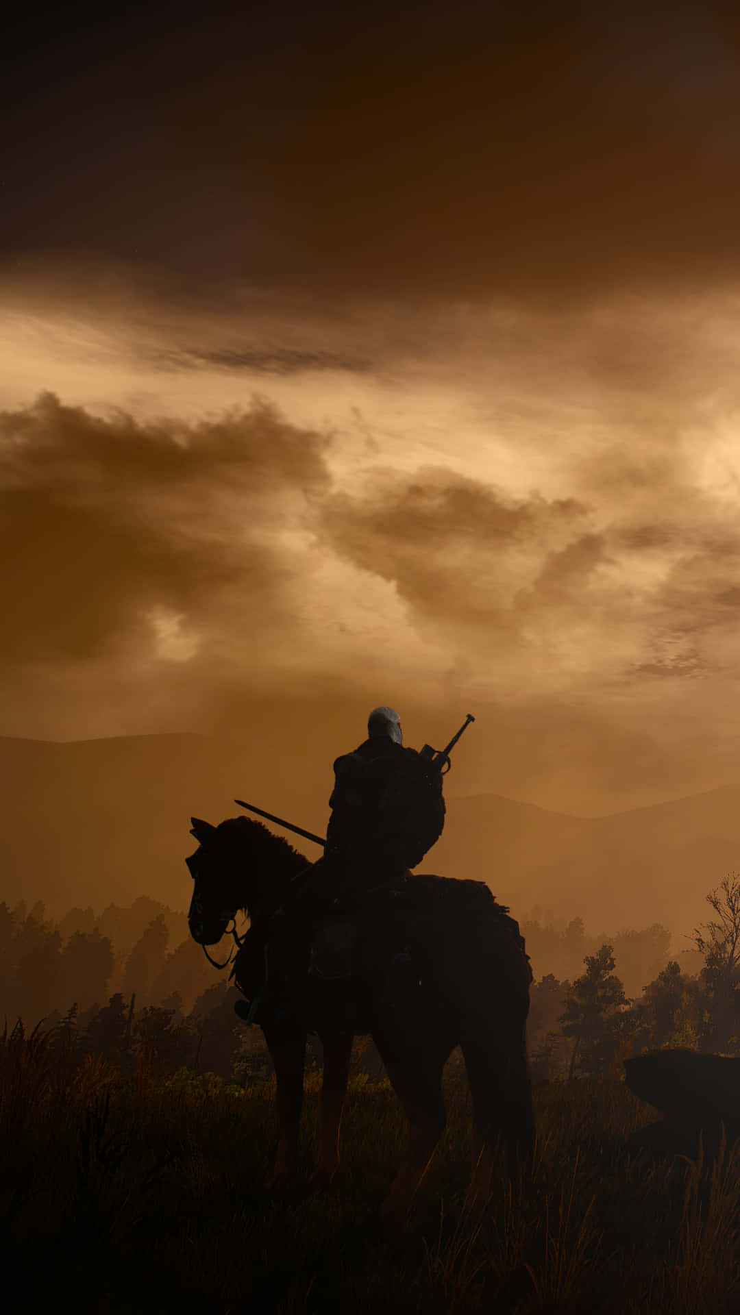 The Witcher 3 Wild Hunt, knight, horse, Full HD Phone Wallpaper