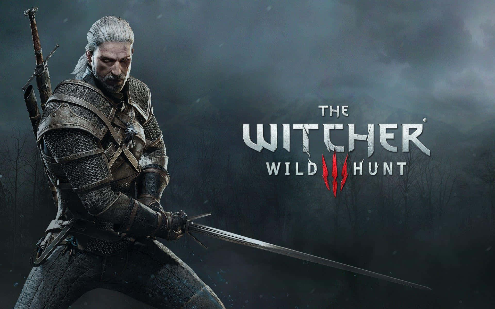 The Witcher 3 Wild Hunt, white hair, armor, Full HD Desktop Wallpaper