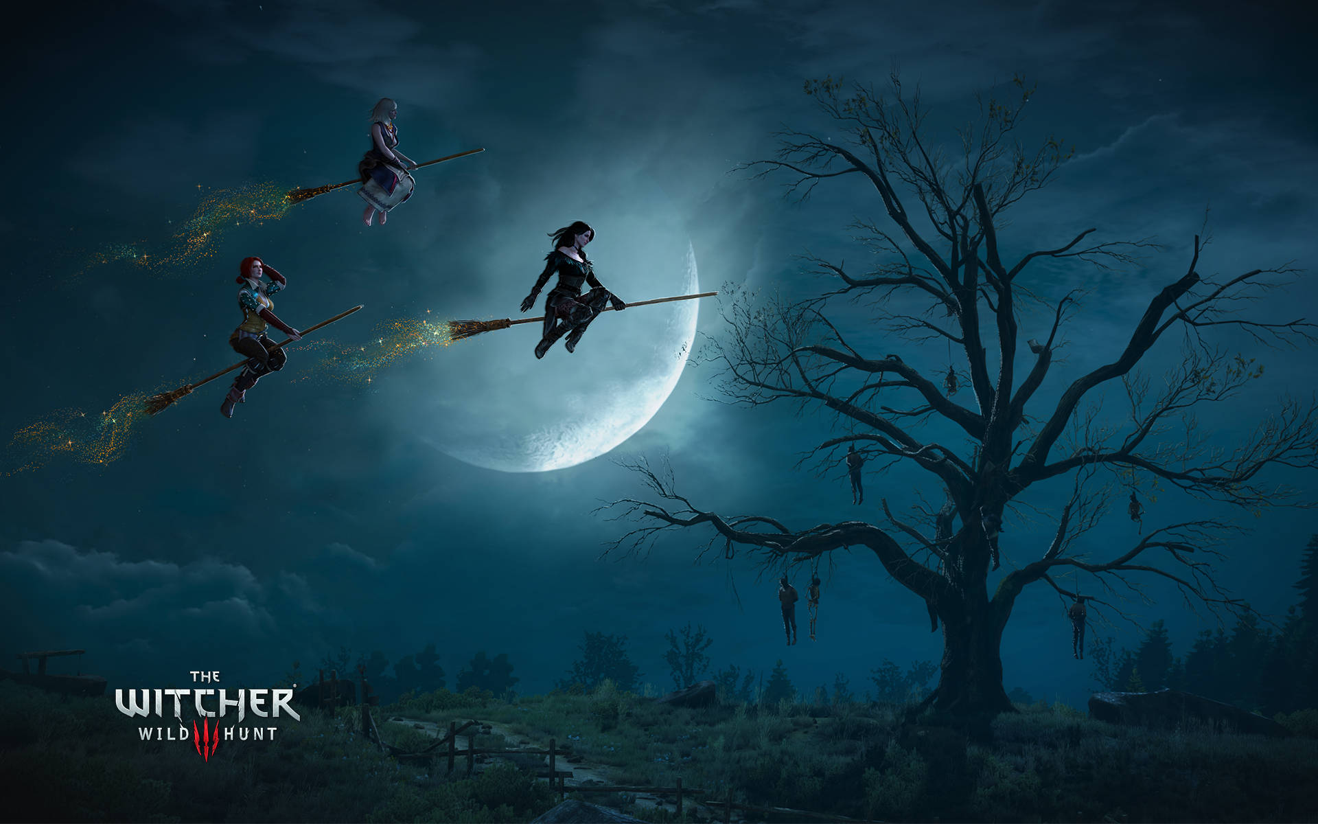 The Witcher 3, witches, brooms, Full HD Desktop Wallpaper