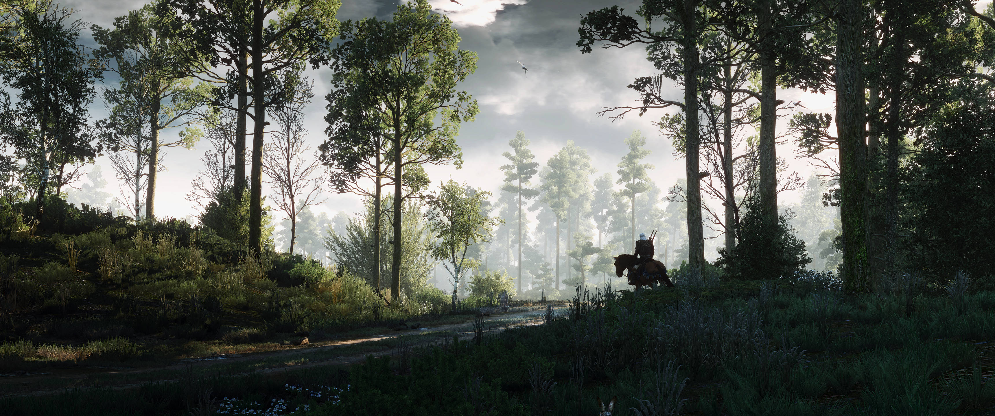 foggy forest, The Witcher 3, lone knight, 2K Desktop Wallpaper