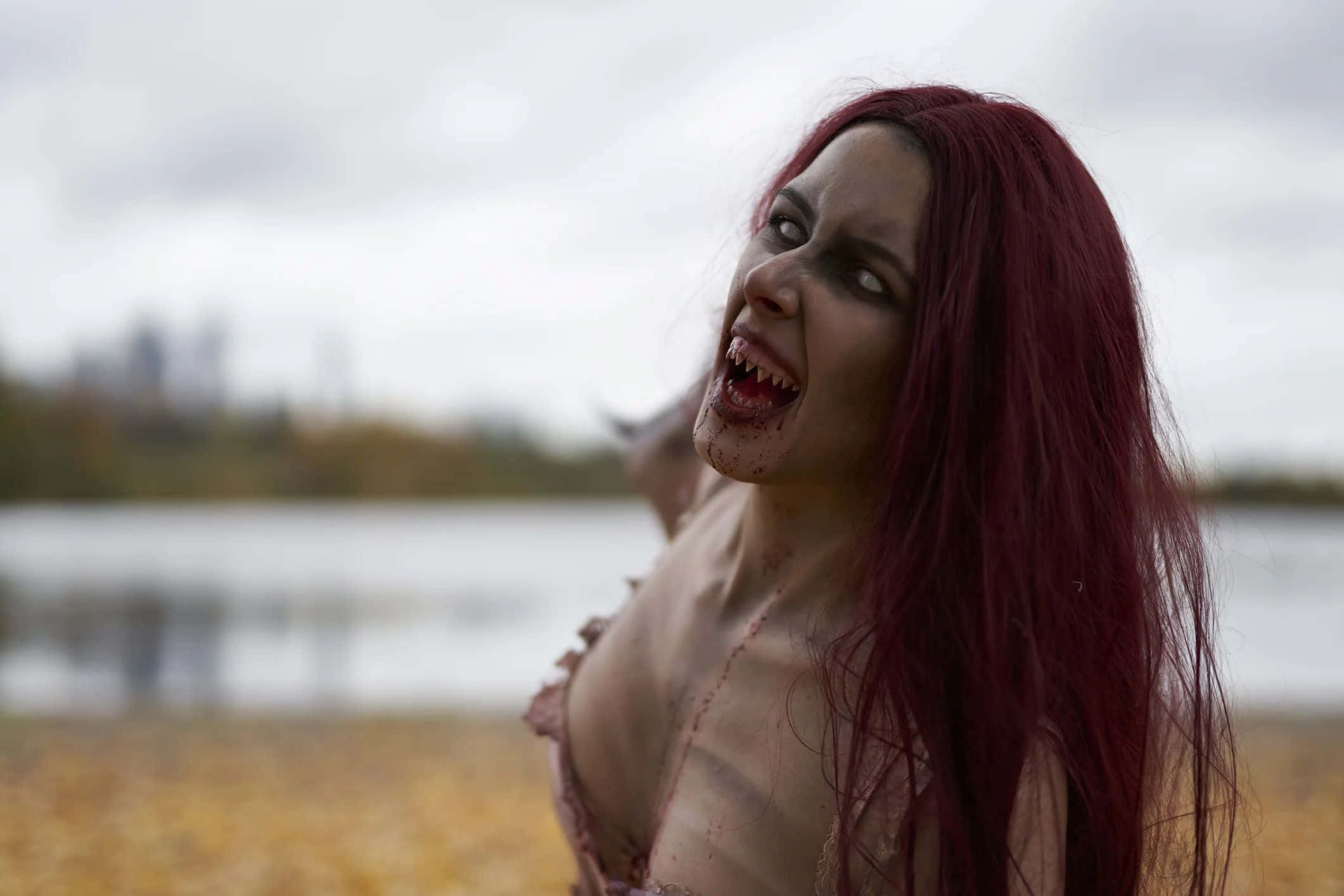 Witcher Bruxa, long red hair, bloodied fangs, Full HD Desktop Wallpaper