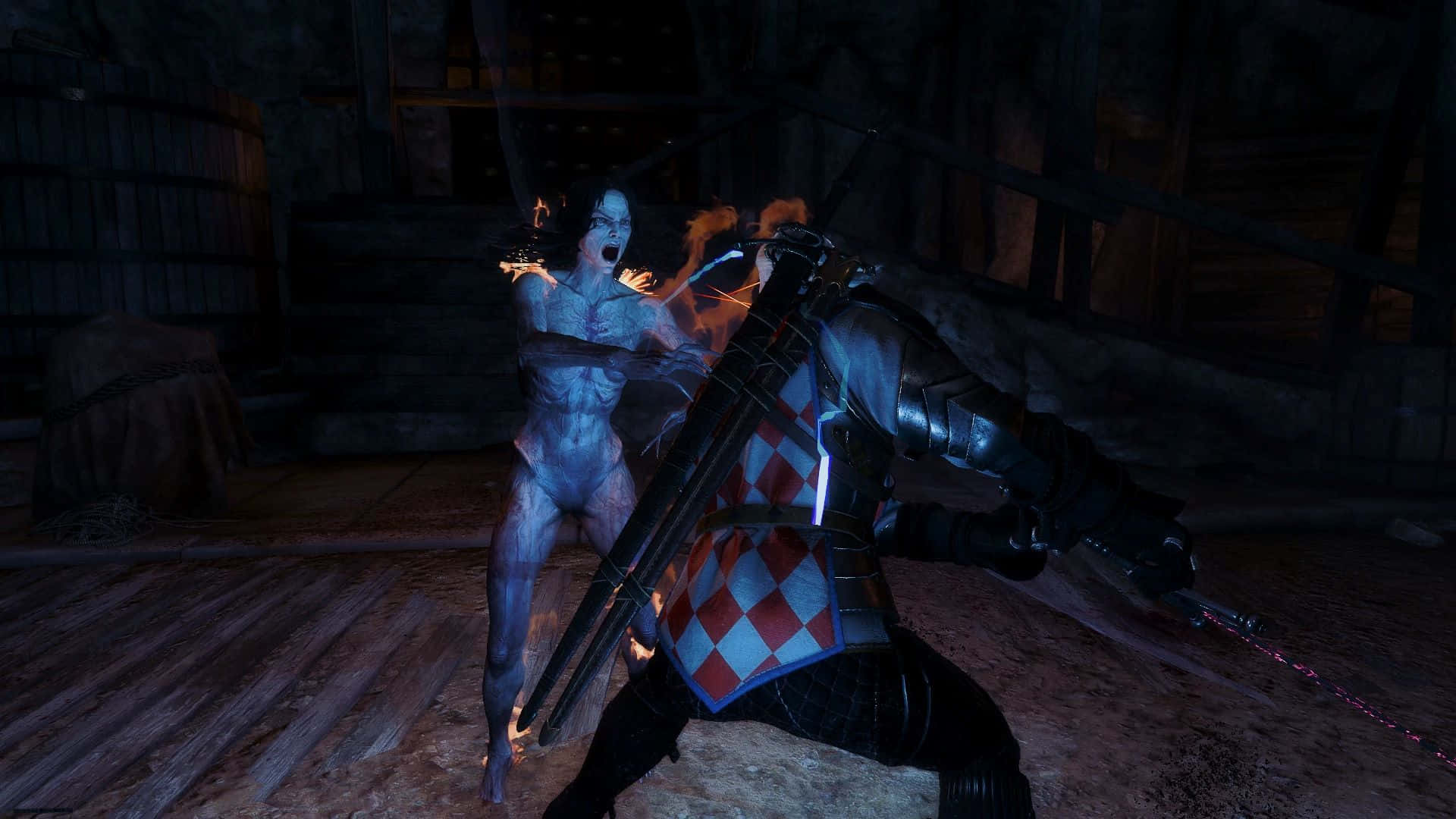 Witcher, Bruxa, checkered armor, Full HD Desktop Wallpaper