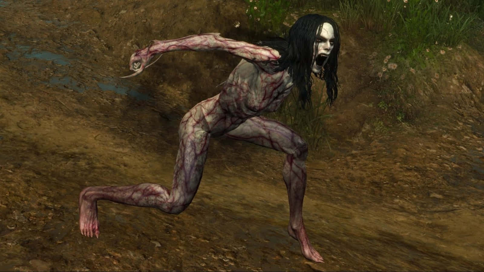 Bruxa, The Witcher, grotesque humanoid creature, HD Desktop Wallpaper