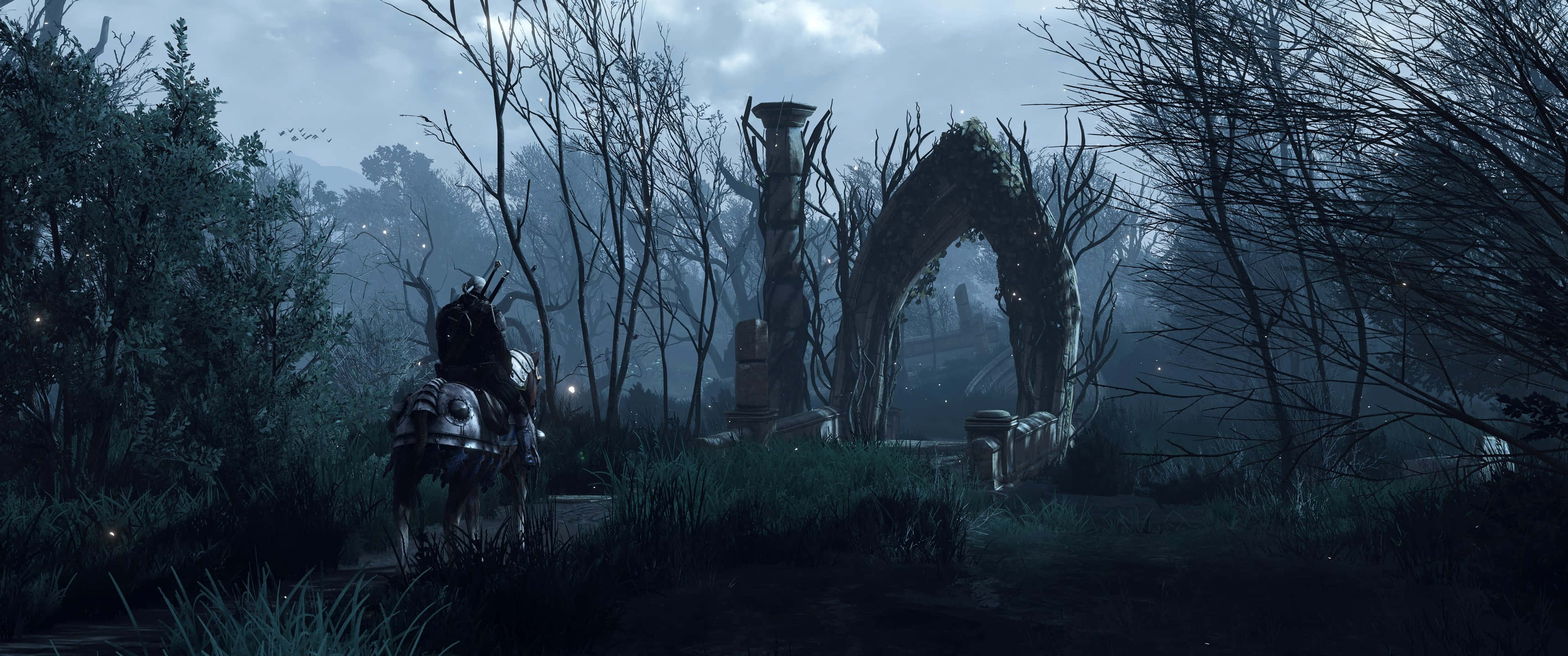 3440x1440, Witcher, misty forest, 2K Desktop Wallpaper