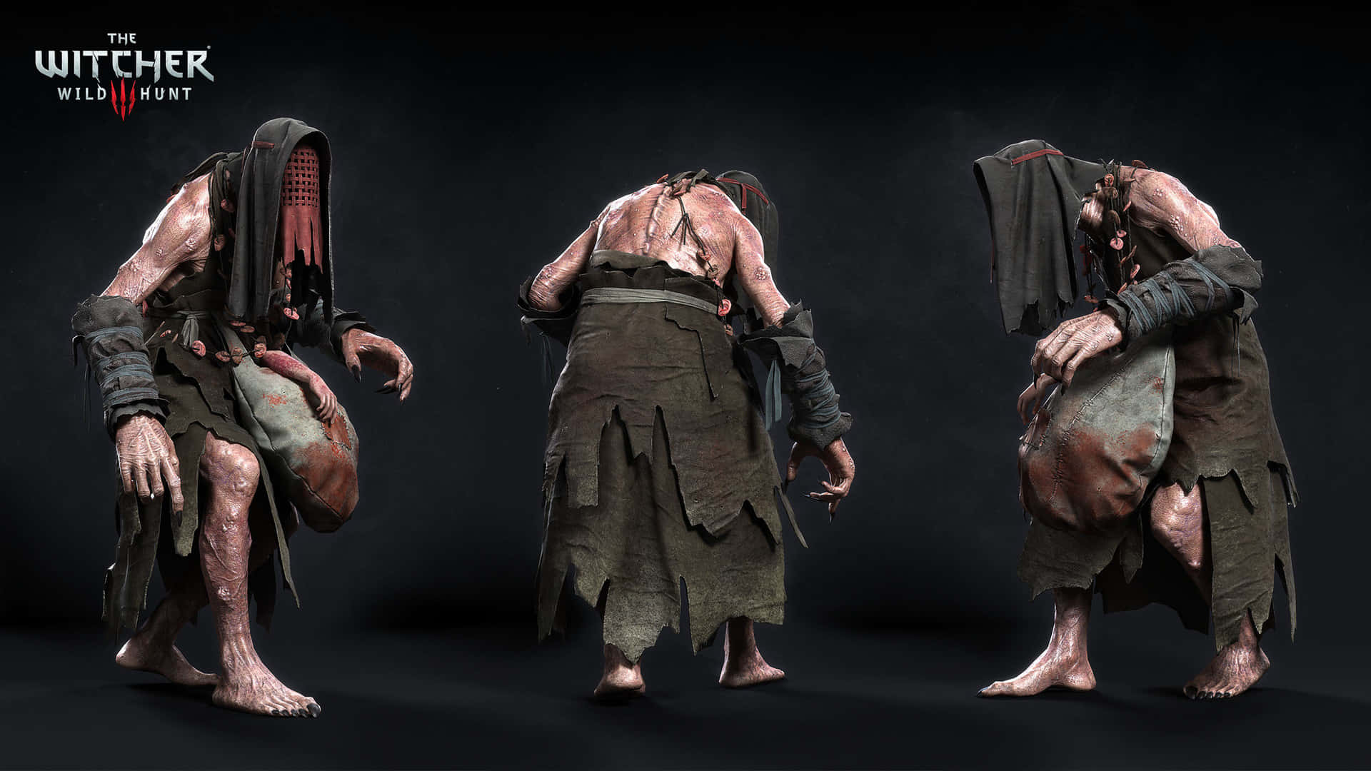 The Witcher 3, Crones, hooded monsters, Full HD Desktop Wallpaper