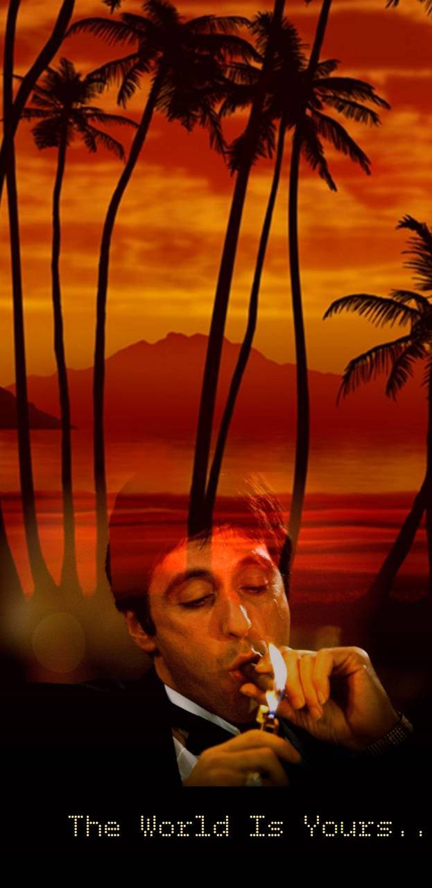 The World Is Yours, fiery orange sunset, palm tree silhouettes, HD Phone Wallpaper