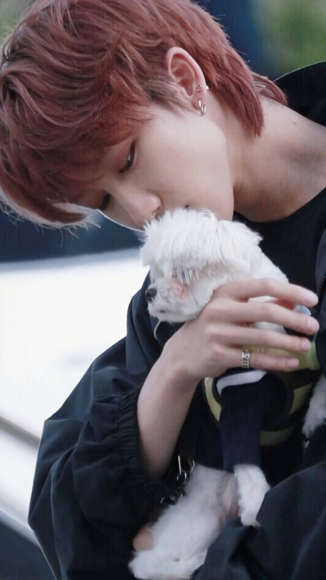The8, reddish hair, fluffy white puppy, Full HD Phone Wallpaper