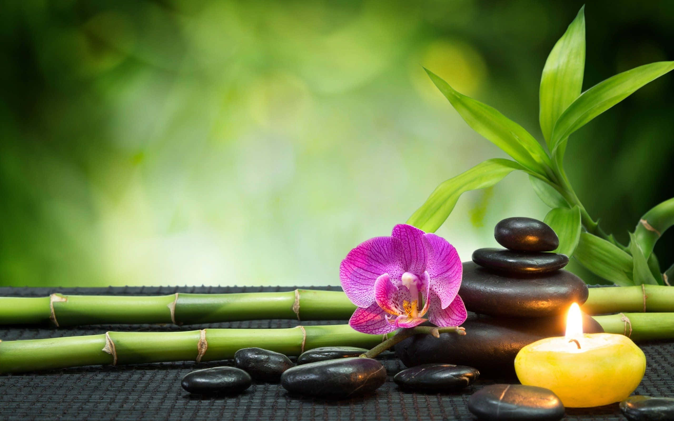 Therapeutic Desktop, purple orchid, black stones, 2K Desktop Wallpaper