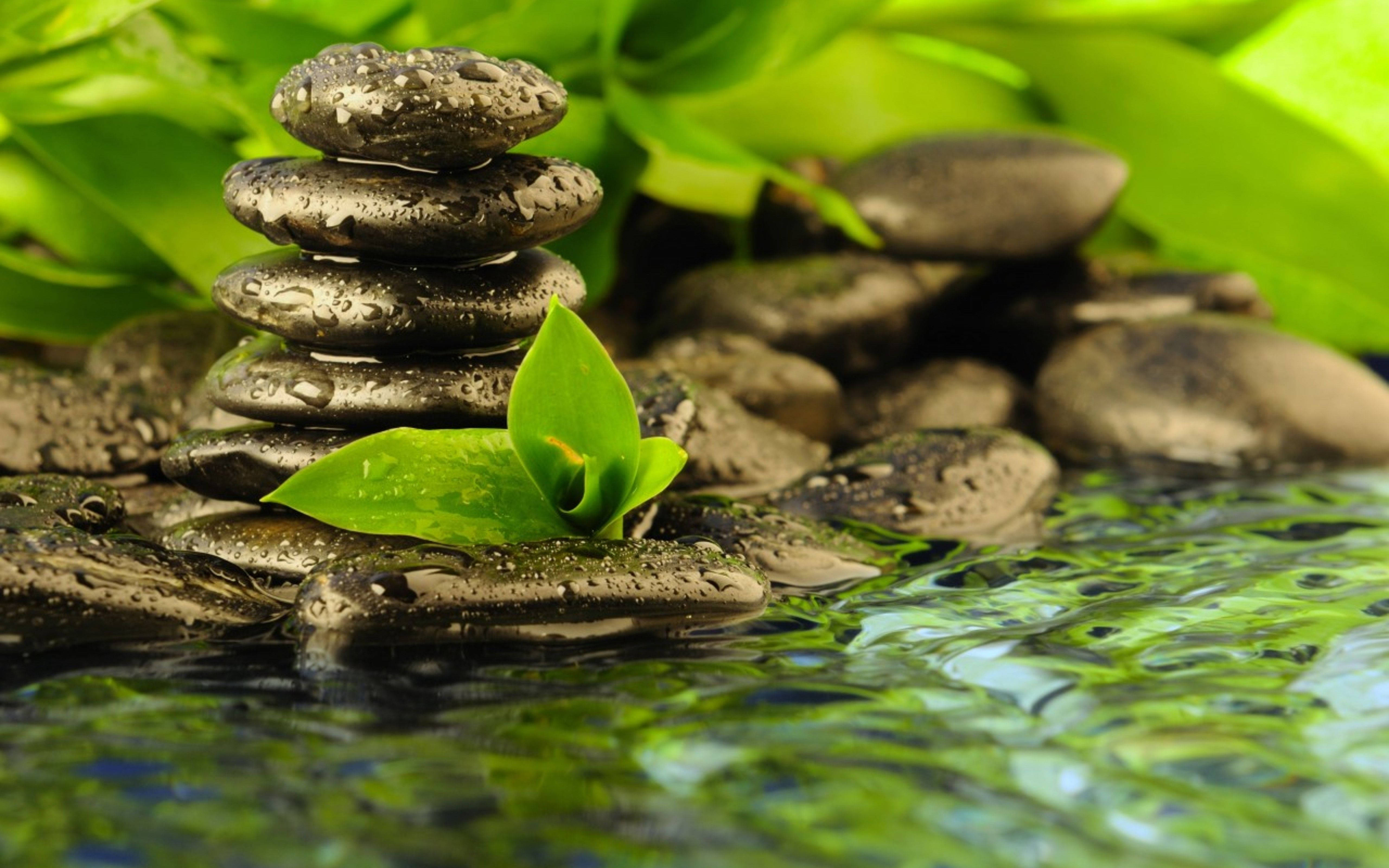 balanced zen stones, wet dark stones, water, 5K Desktop Wallpaper