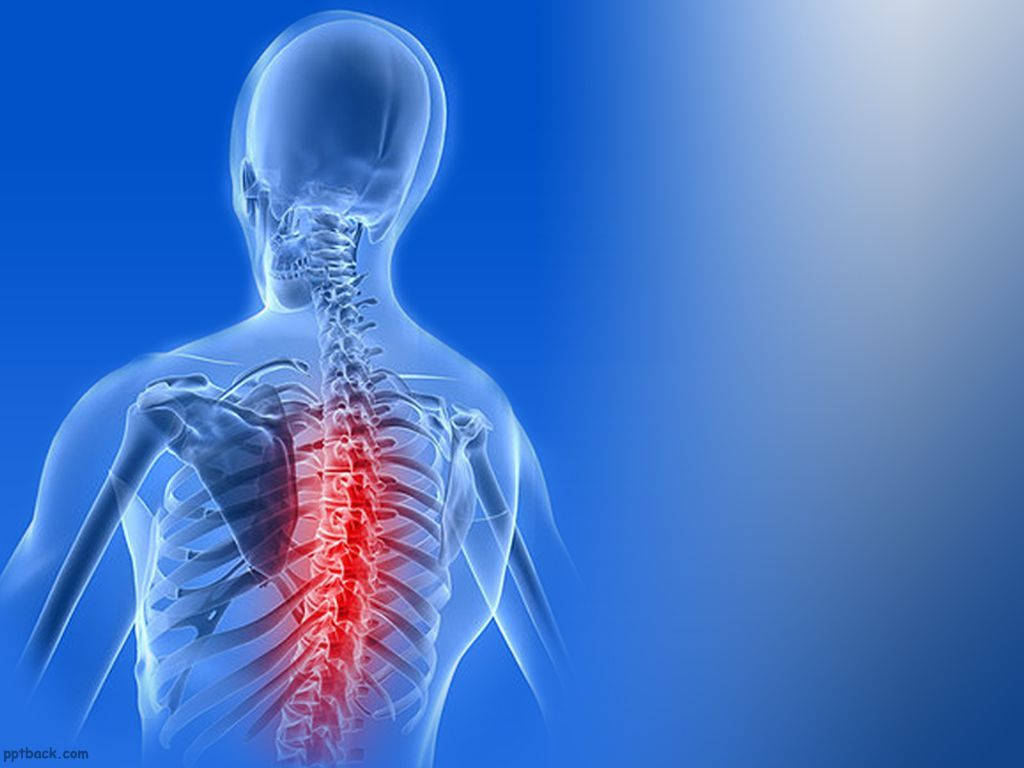 physical therapy, back pain, translucent human figure, SD Desktop Wallpaper
