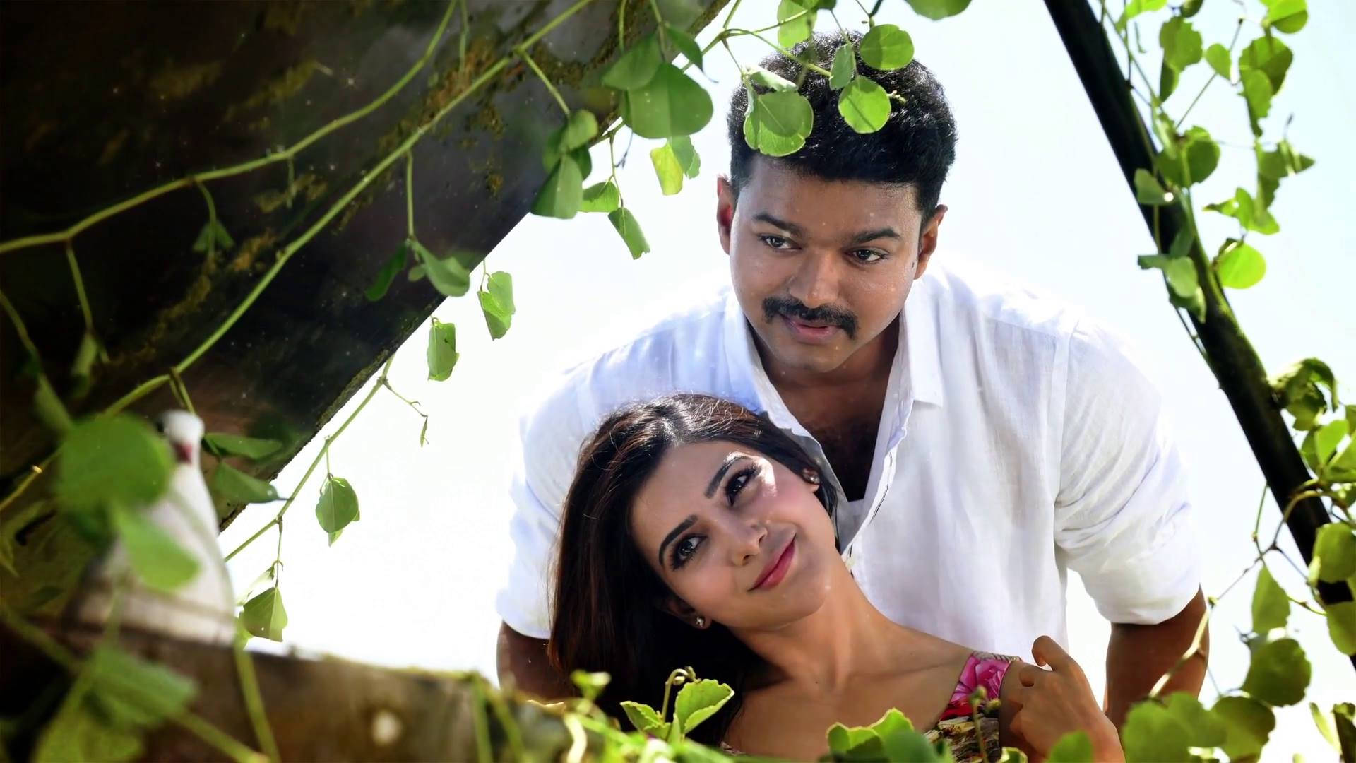 Theri Movie, green vines, lush green vines, Full HD Desktop Wallpaper