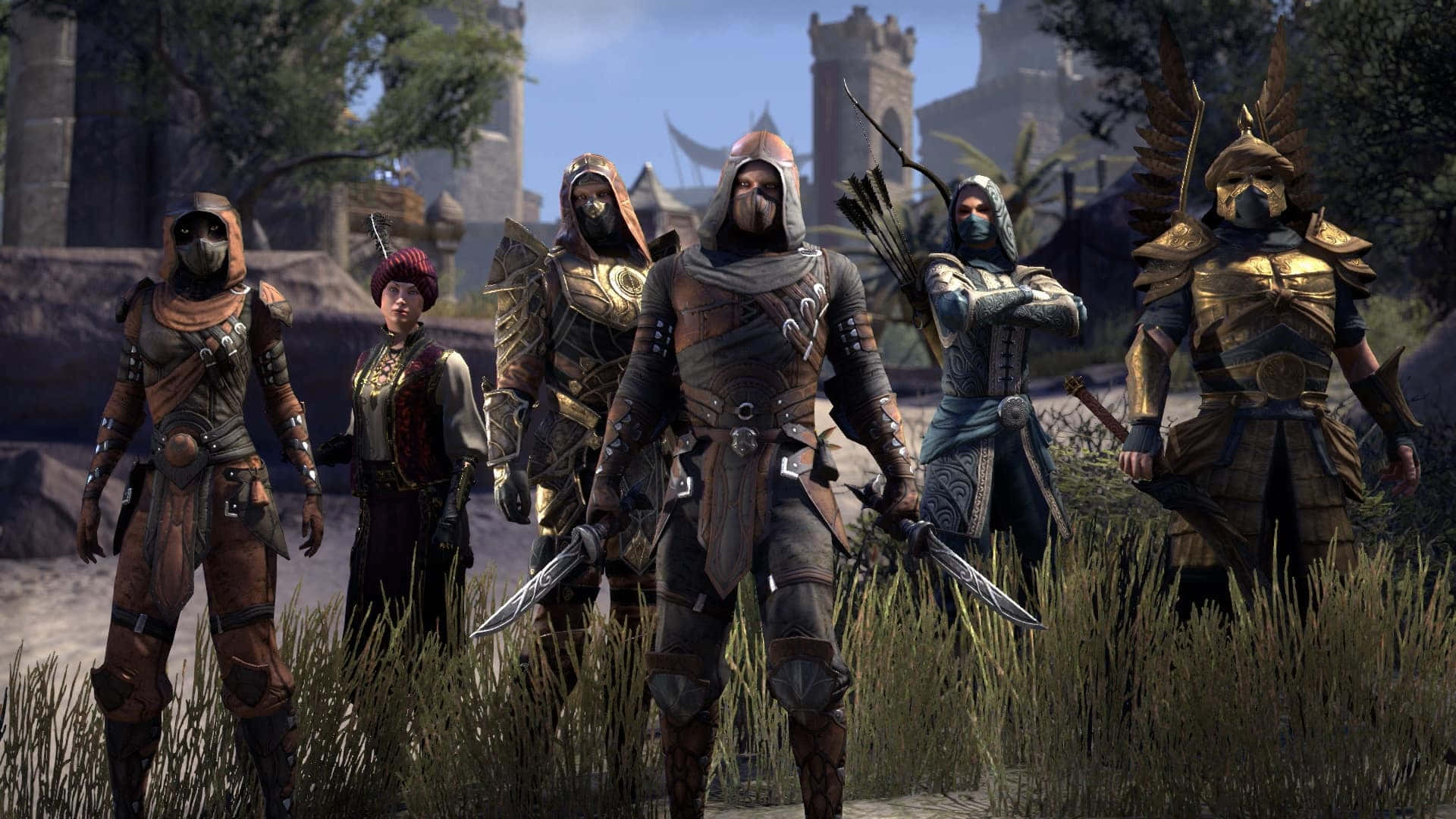 Thieves Guild, moonlit sky, grassy field, Full HD Desktop Wallpaper