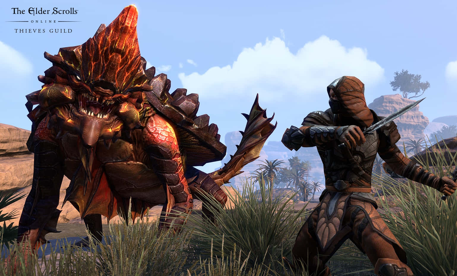 Thieves Guild, hooded thief, desert armor, HD Desktop Wallpaper