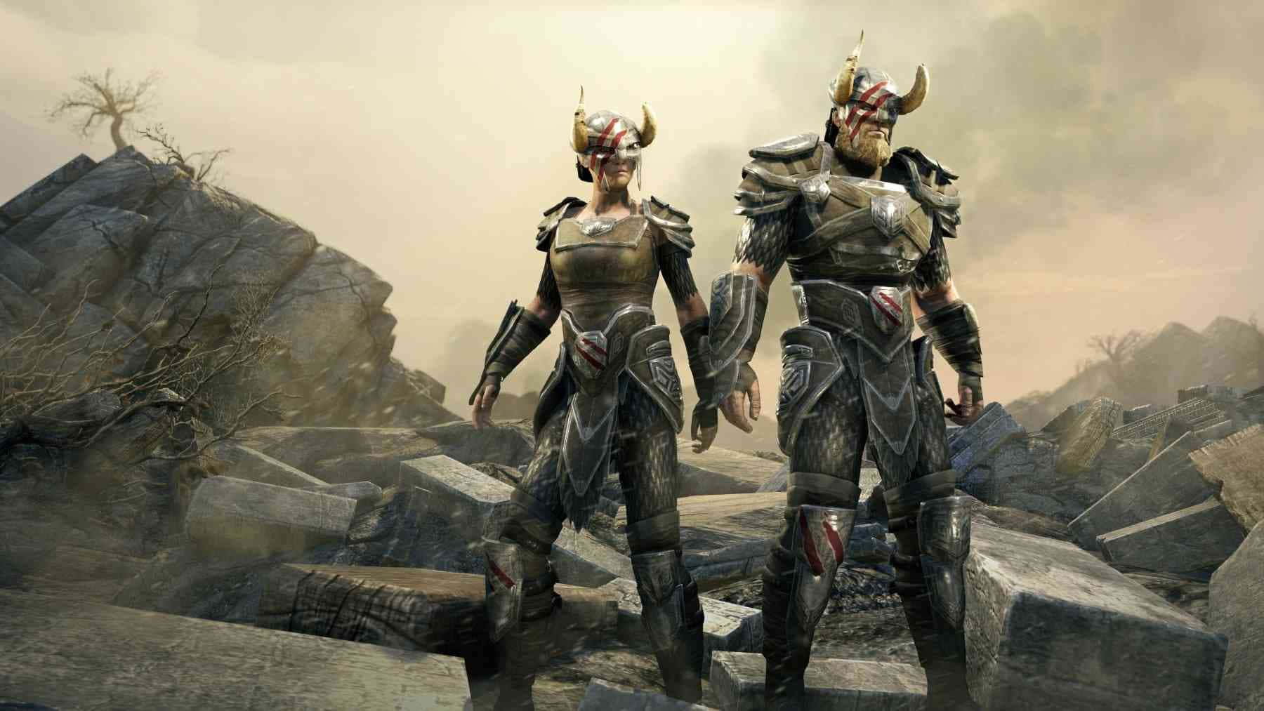 Thieves Guild, armored warriors, horned helmets, HD Desktop Wallpaper