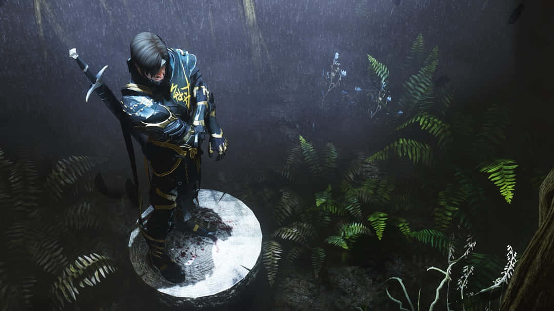 Thieves Guild, stone pedestal, dark forest, SD Desktop Wallpaper