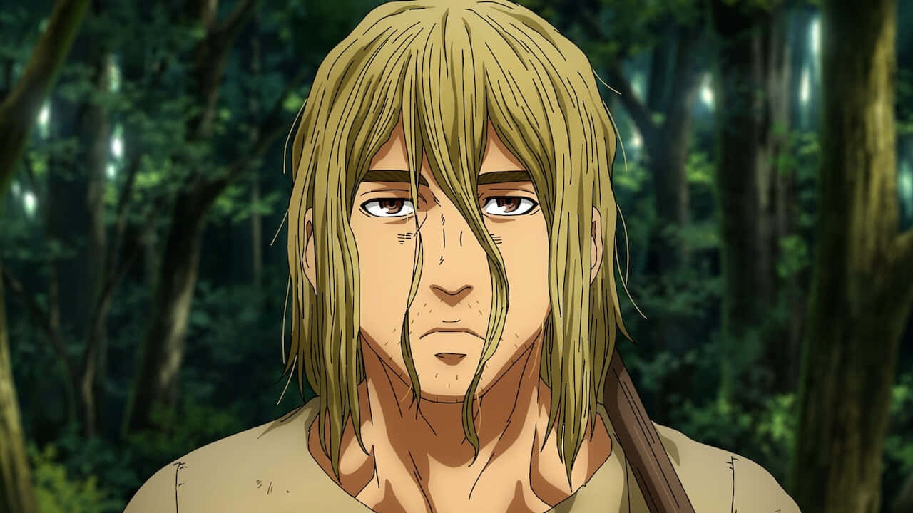 Thorfinn, forest, night, HD Desktop Wallpaper