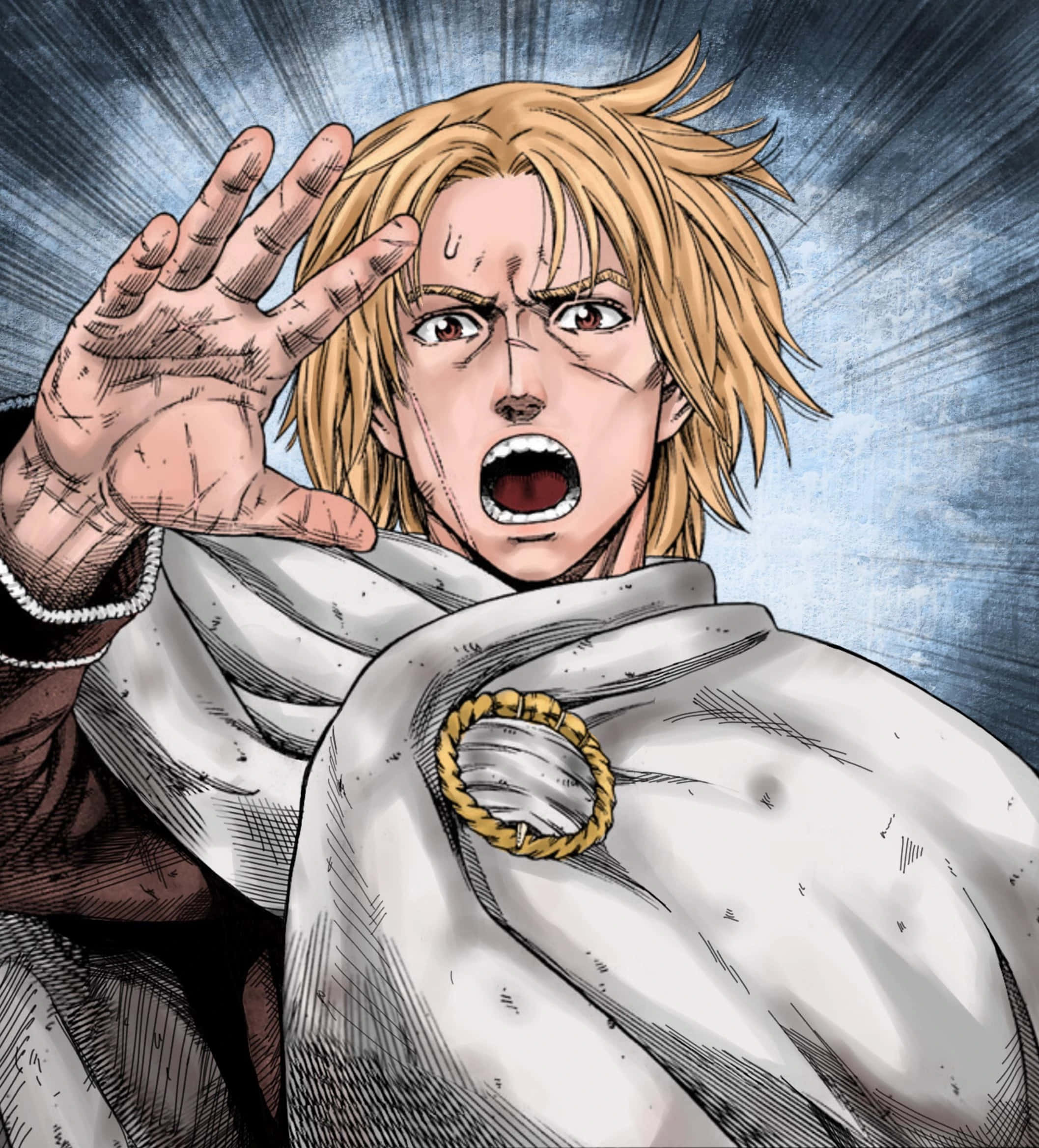Thorfinn, anime character, blond anime warrior, Full HD Phone Wallpaper