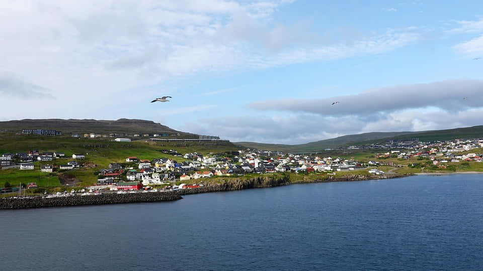 Thorshavn, coastline, birds flying, SD Desktop Wallpaper