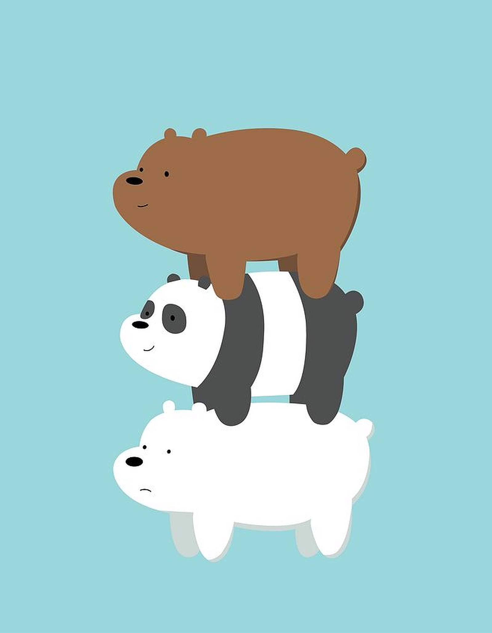 Three Bears, teal, flat design, Full HD Phone Wallpaper