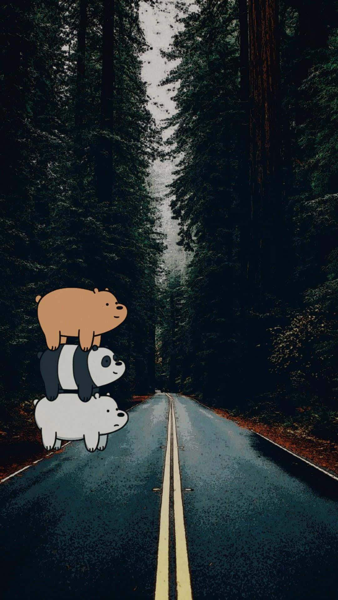 Three Bears, forest road, wet forest road, HD Phone Wallpaper