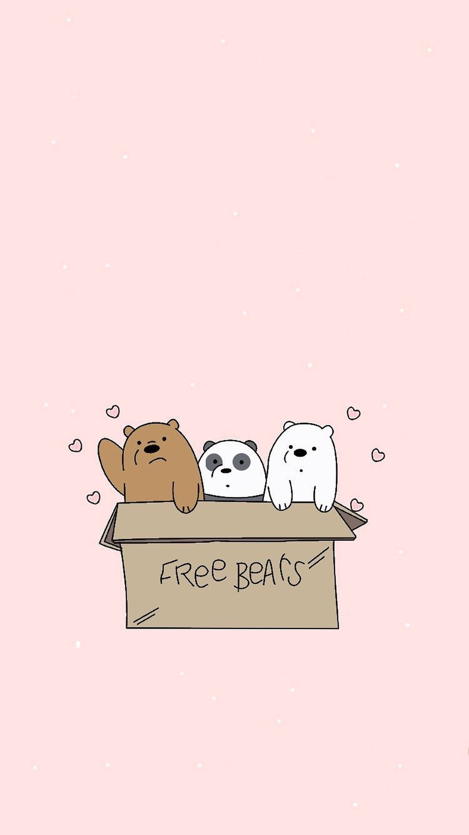 Three Bears, cardboard box, free bears, 2K Phone Wallpaper
