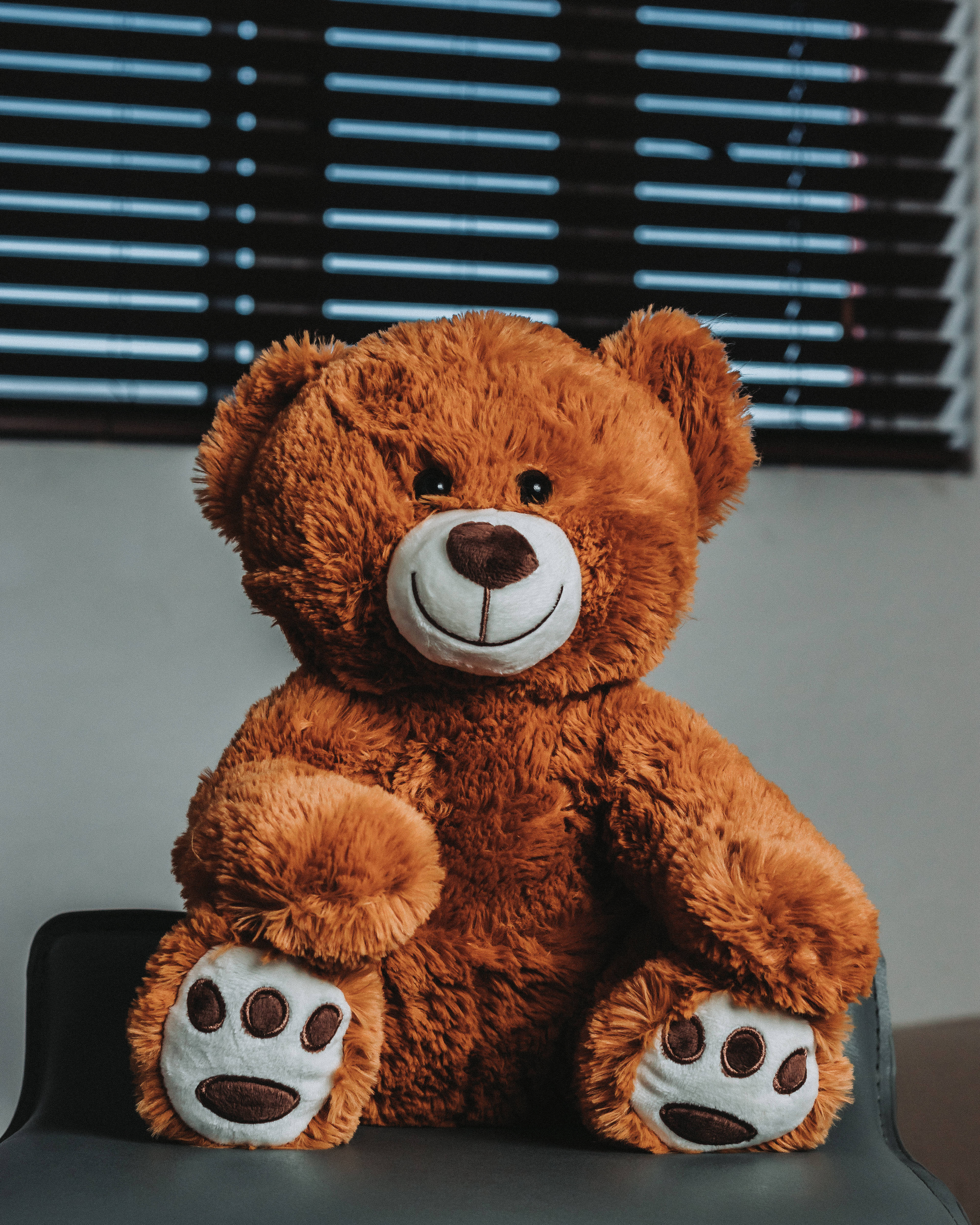 brown bear, fluffy teddy bear, white snout, 4K Phone Wallpaper