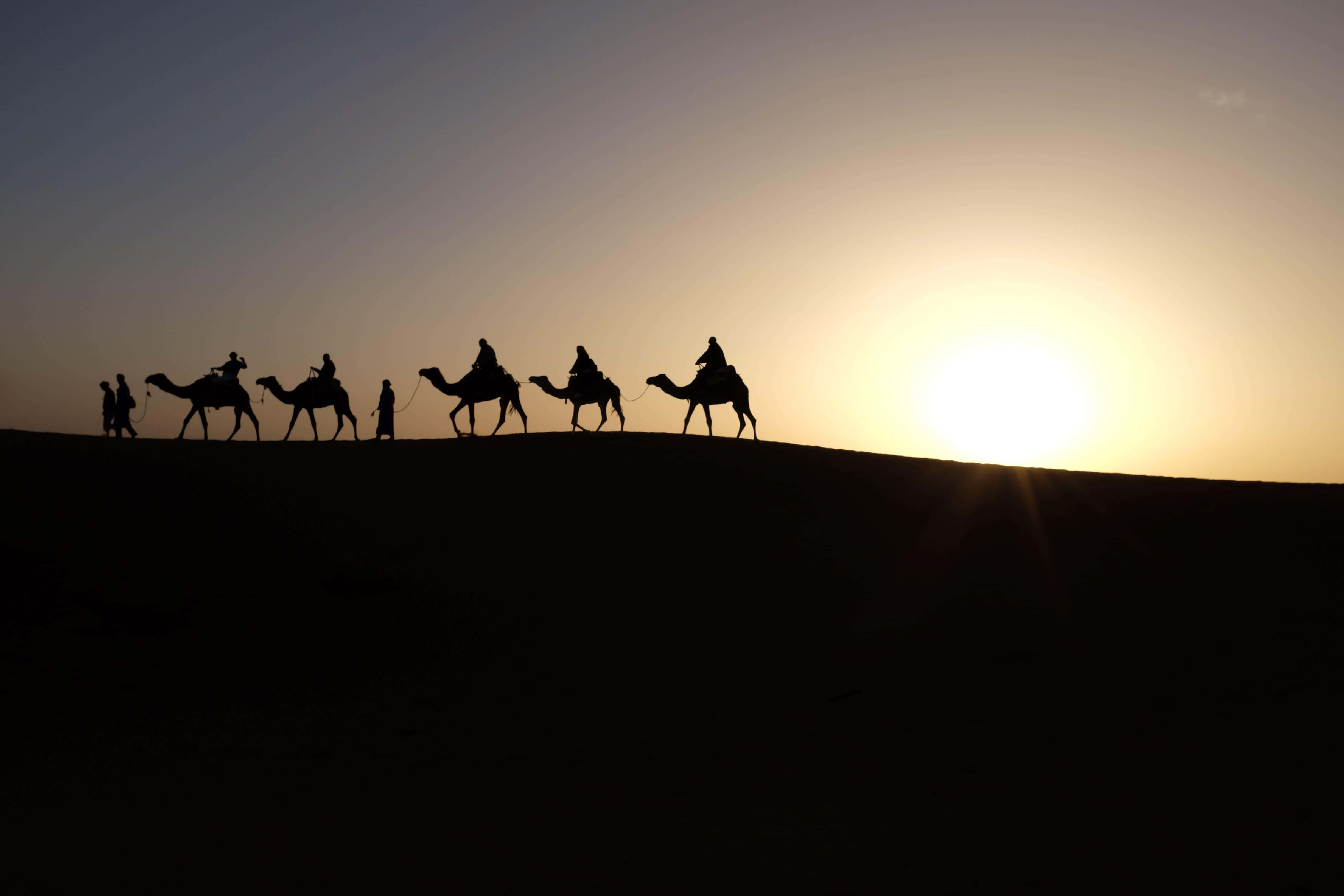 Three Wise Men, camels, riders, 4K Desktop Wallpaper
