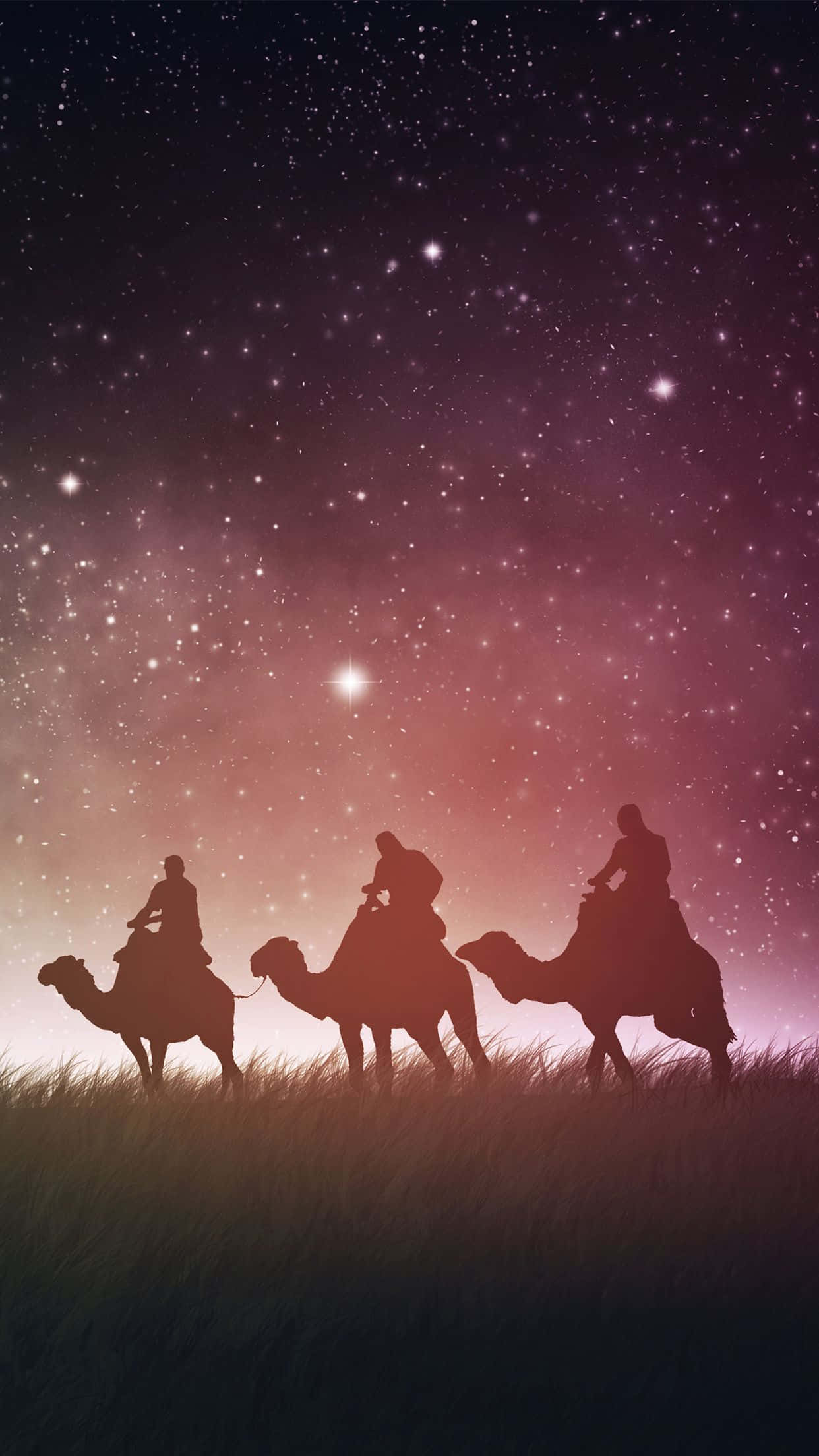 Three Wise Men, camels, grassy plain, Full HD Phone Wallpaper