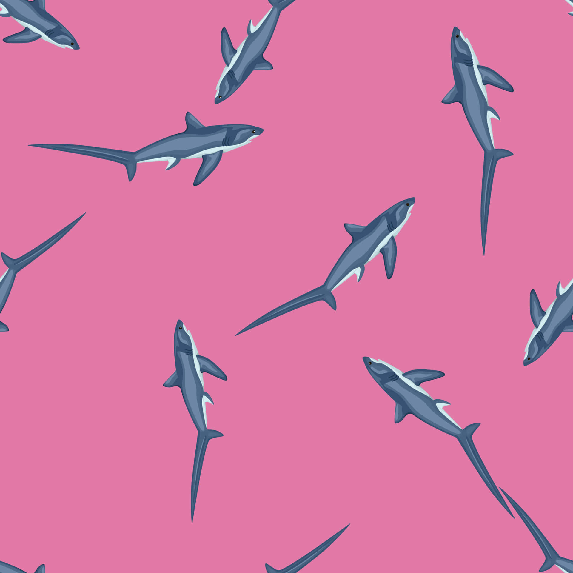 Thresher Shark, pink background, blue sharks, Full HD Desktop Wallpaper