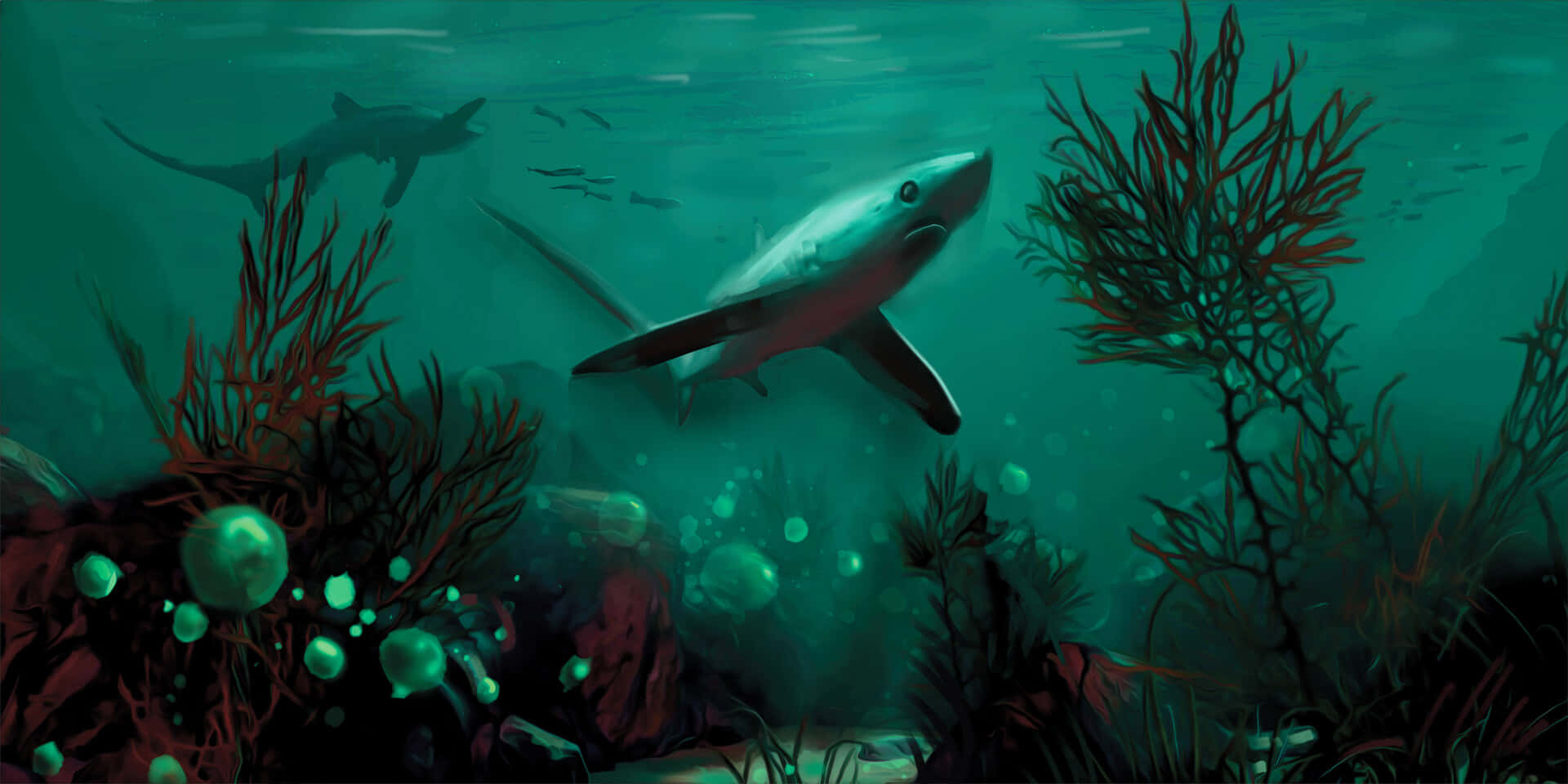 Thresher Shark, teal waters, glowing orbs, Full HD Desktop Wallpaper