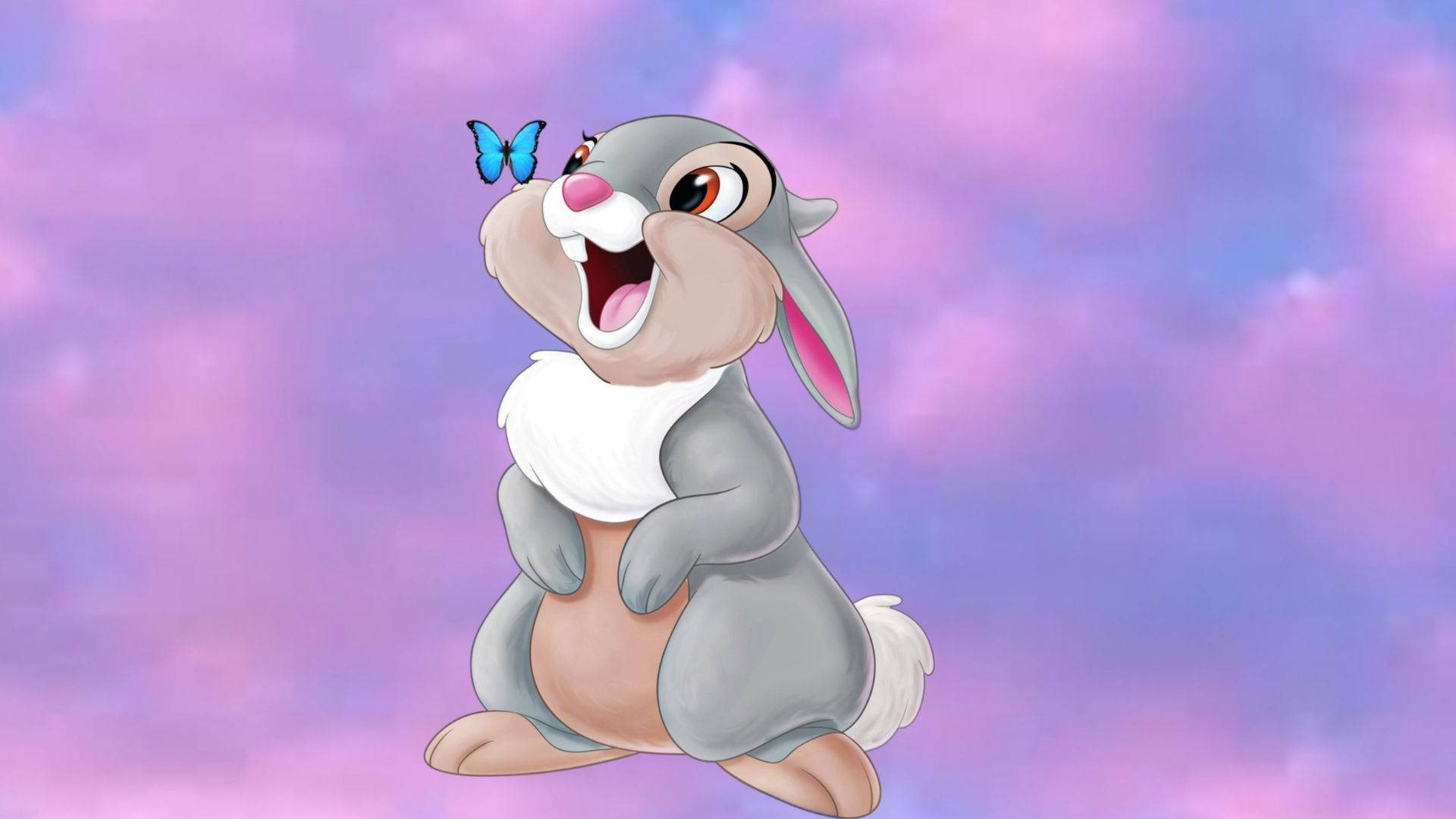 Thumper, butterfly, blue butterfly, Full HD Desktop Wallpaper