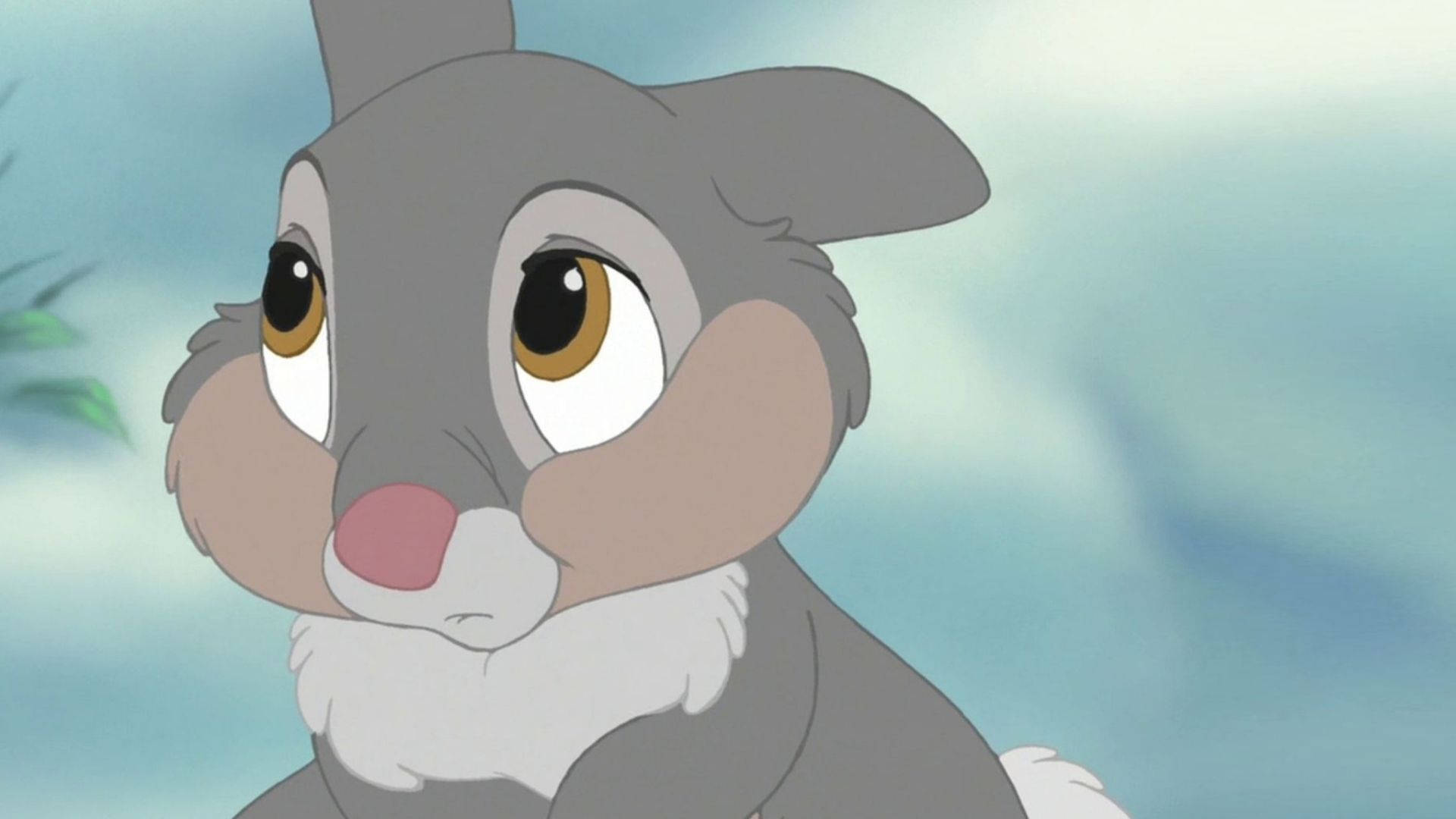 Thumper, gray, large expressive eyes, Full HD Desktop Wallpaper