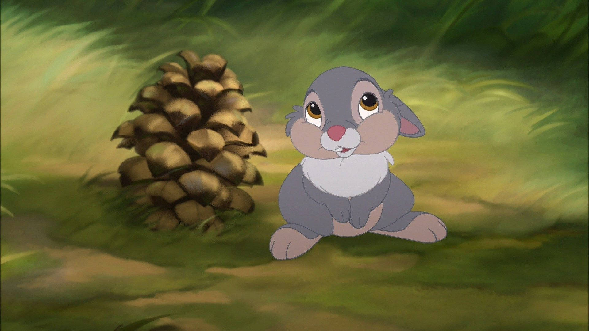 Thumper, pinecone, sunlit grassy forest clearing, Full HD Desktop Wallpaper