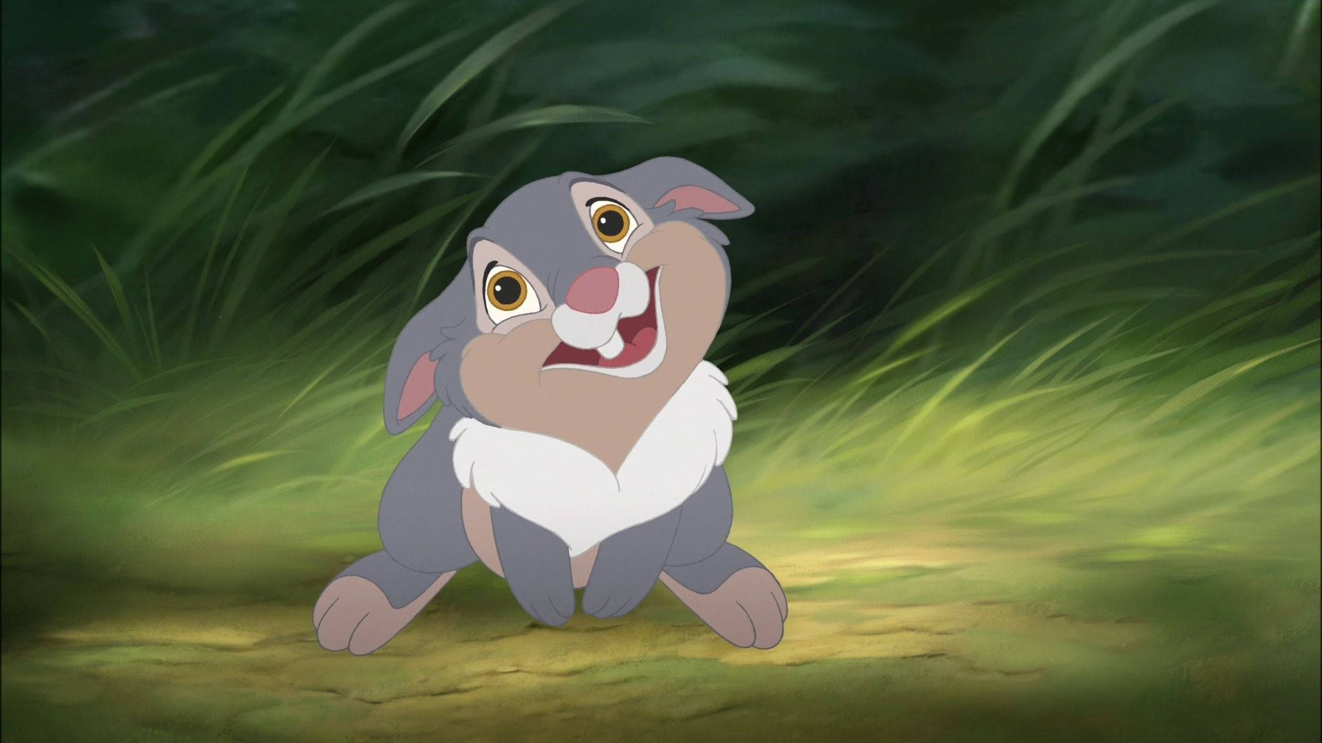Thumper, rabbit, sunlit, Full HD Desktop Wallpaper