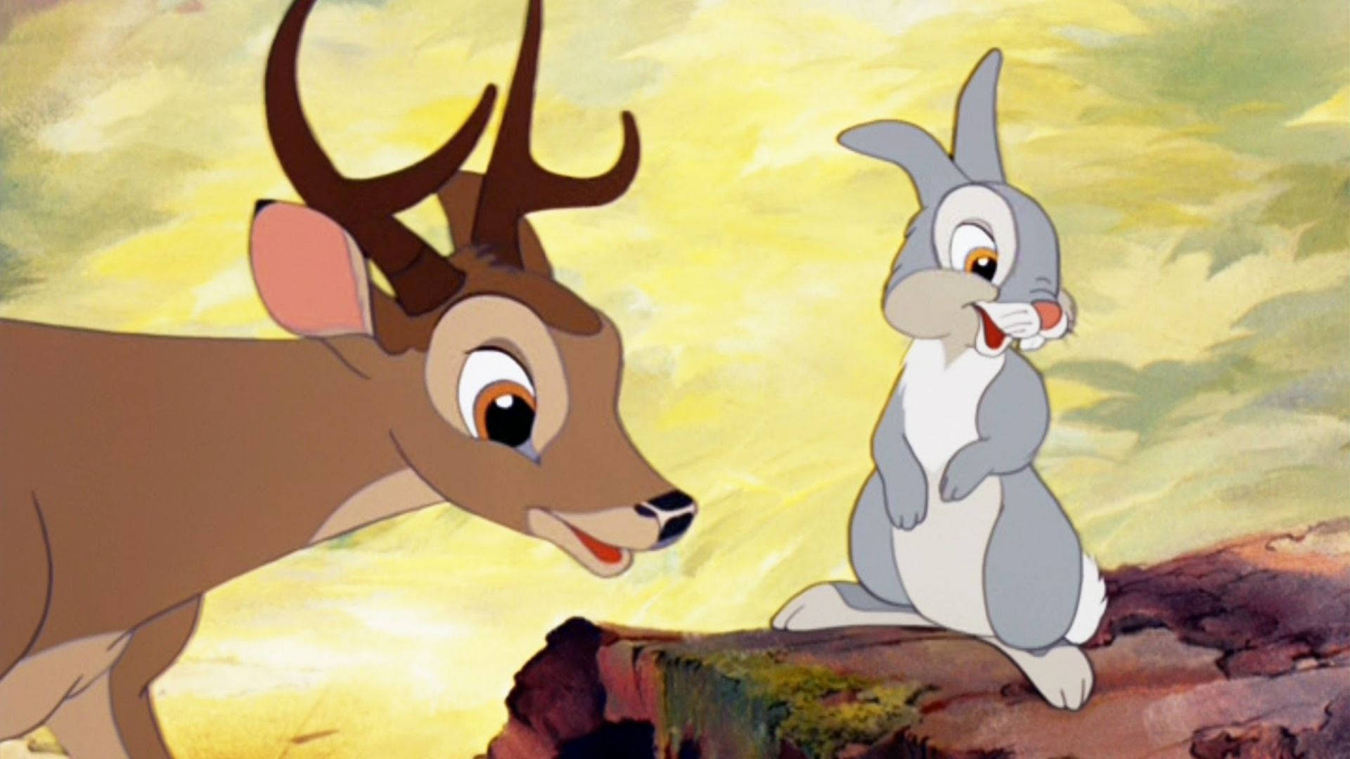 Thumper, Joyous Smile, mossy rock, Full HD Desktop Wallpaper