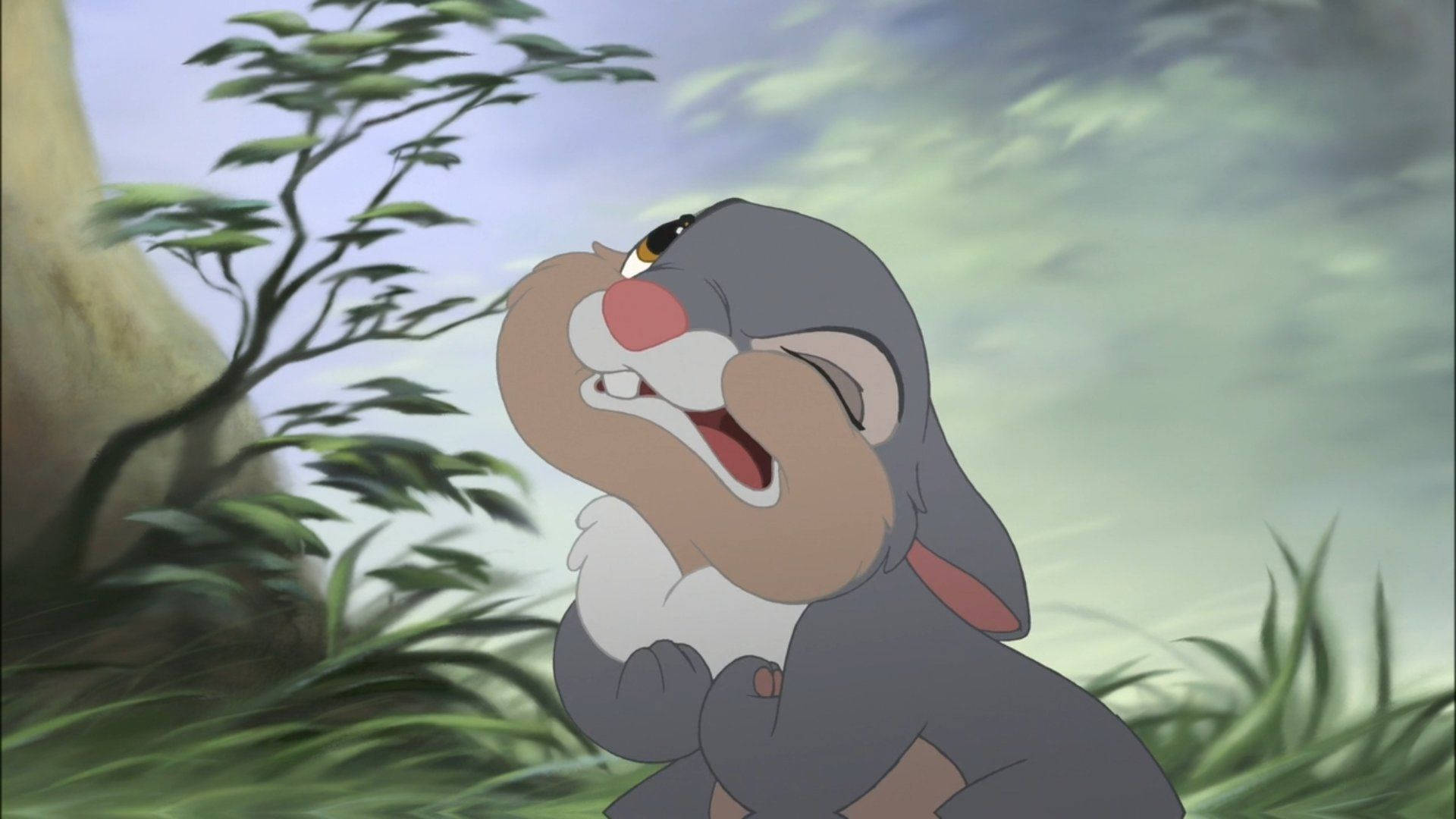 Thumper, cartoon rabbit, grassy outdoor scene, Full HD Desktop Wallpaper
