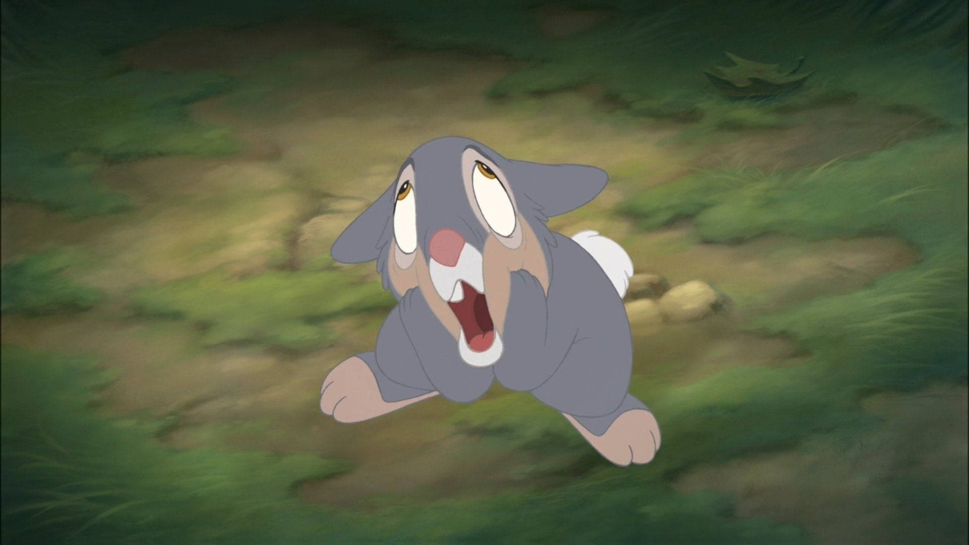 Thumper, cartoon rabbit, wide eyes, Full HD Desktop Wallpaper