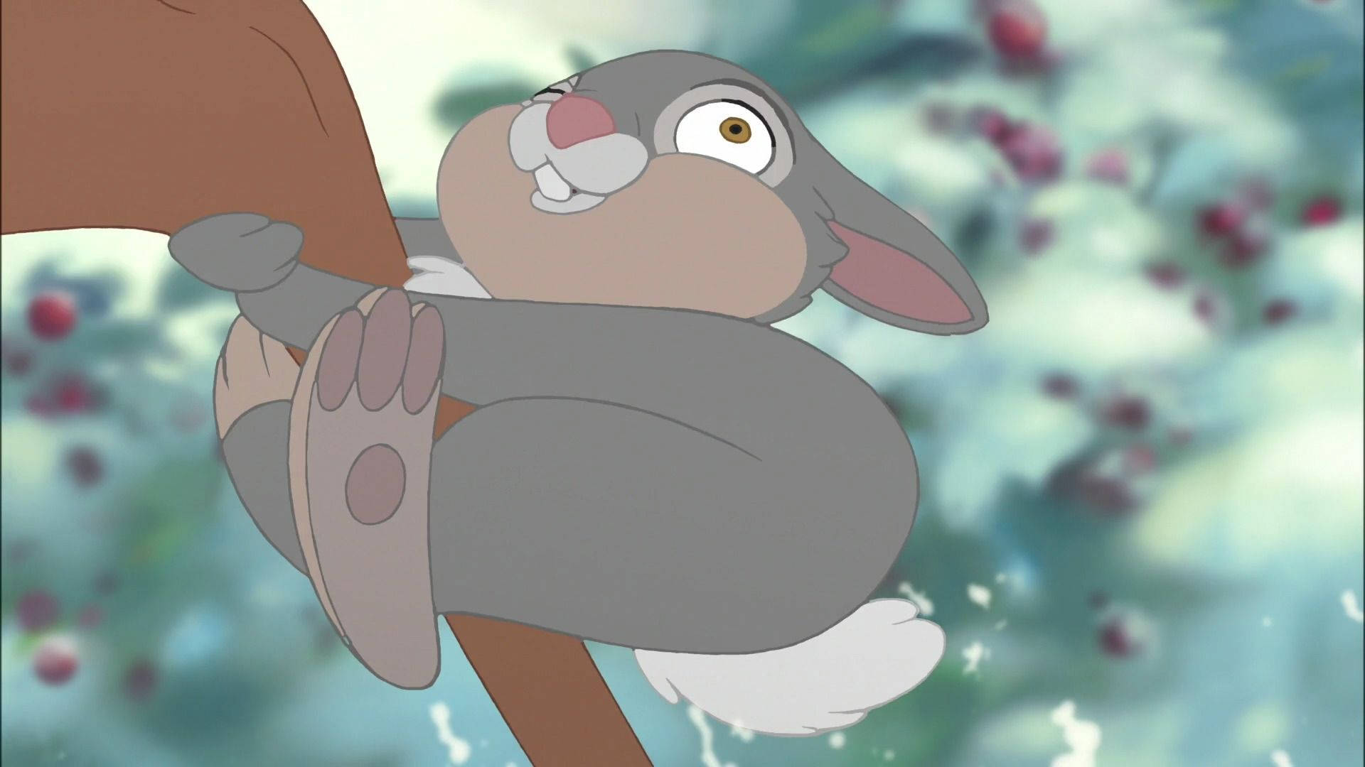 Funny Thumper, cartoon rabbit, tree branch, Full HD Desktop Wallpaper