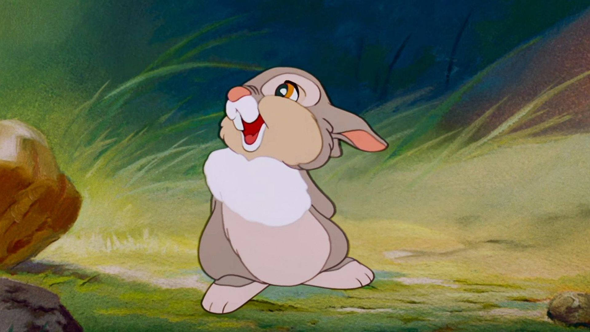Thumper, rabbit, white chest, Full HD Desktop Wallpaper