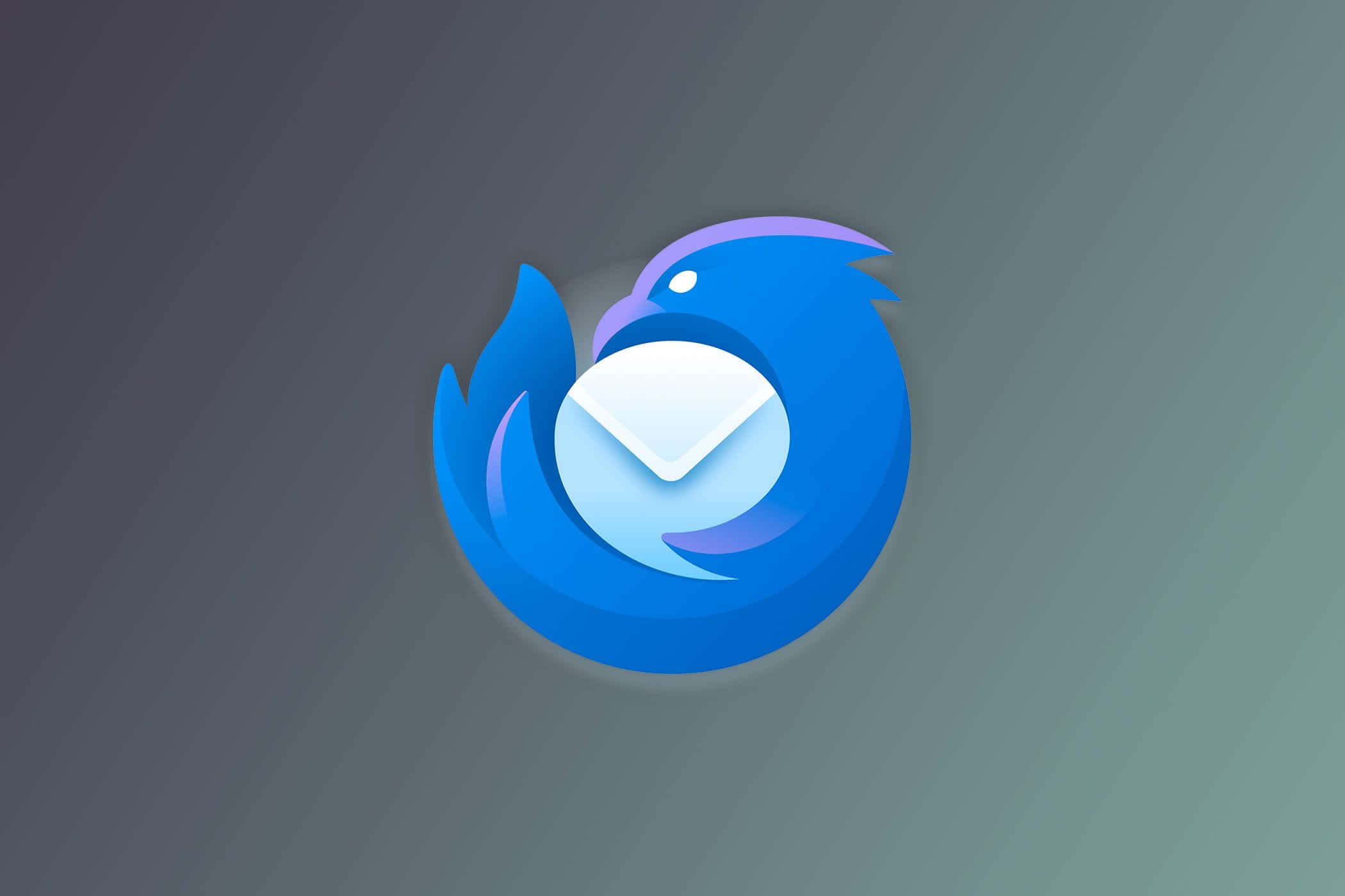 Thunderbird Logo, blue bird logo, white envelope, Full HD Desktop Wallpaper