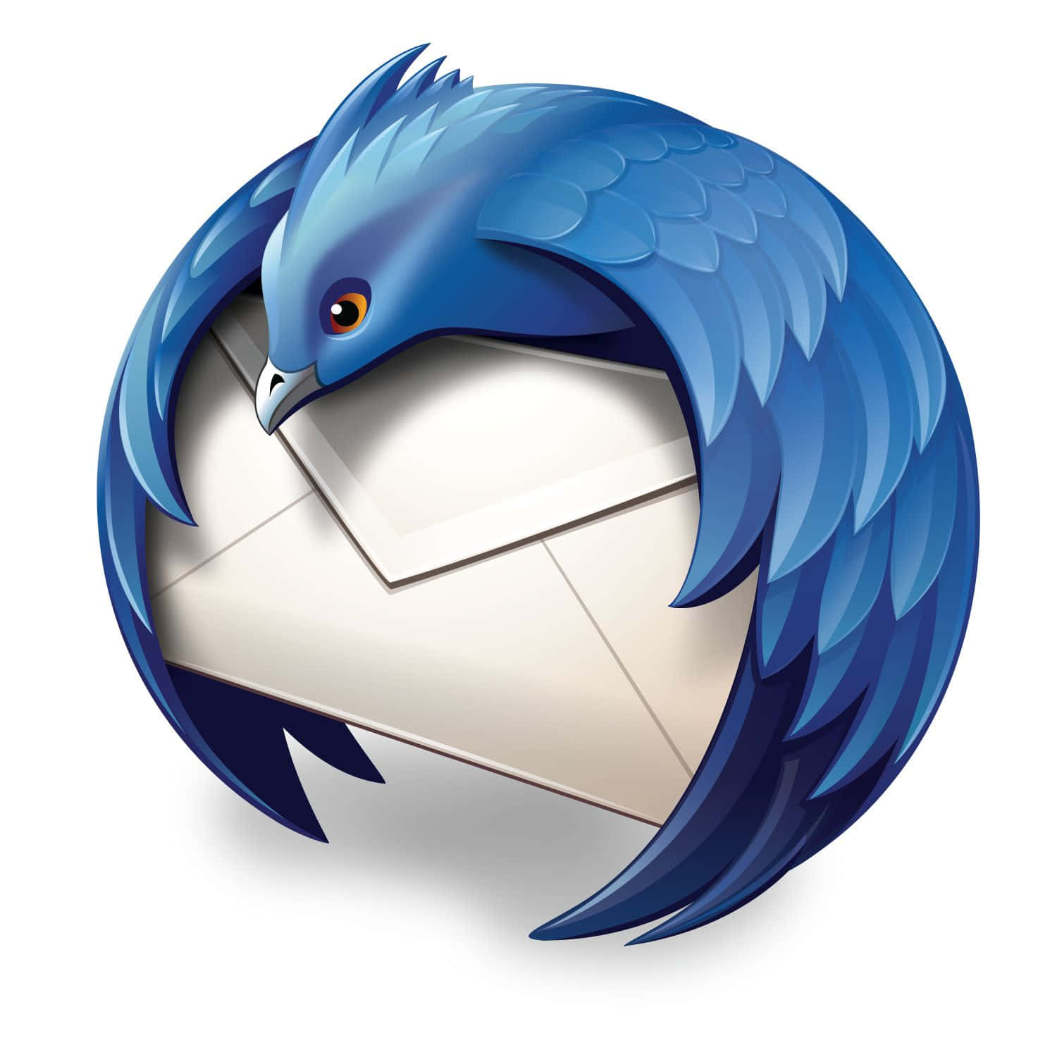 Thunderbird, blue bird, orange eye, HD Desktop Wallpaper