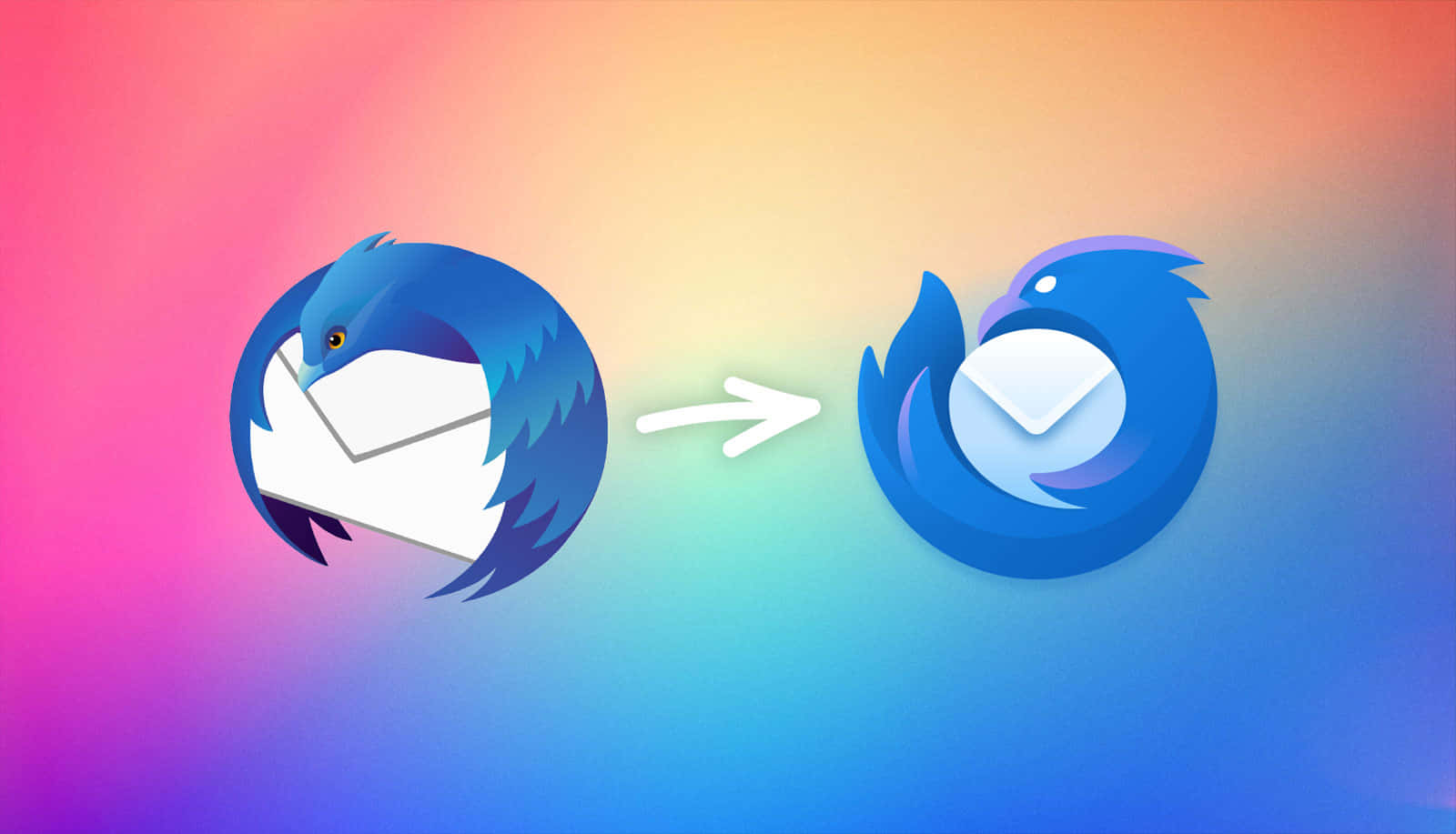 Thunderbird, blue stylized bird logo, envelope, HD Desktop Wallpaper