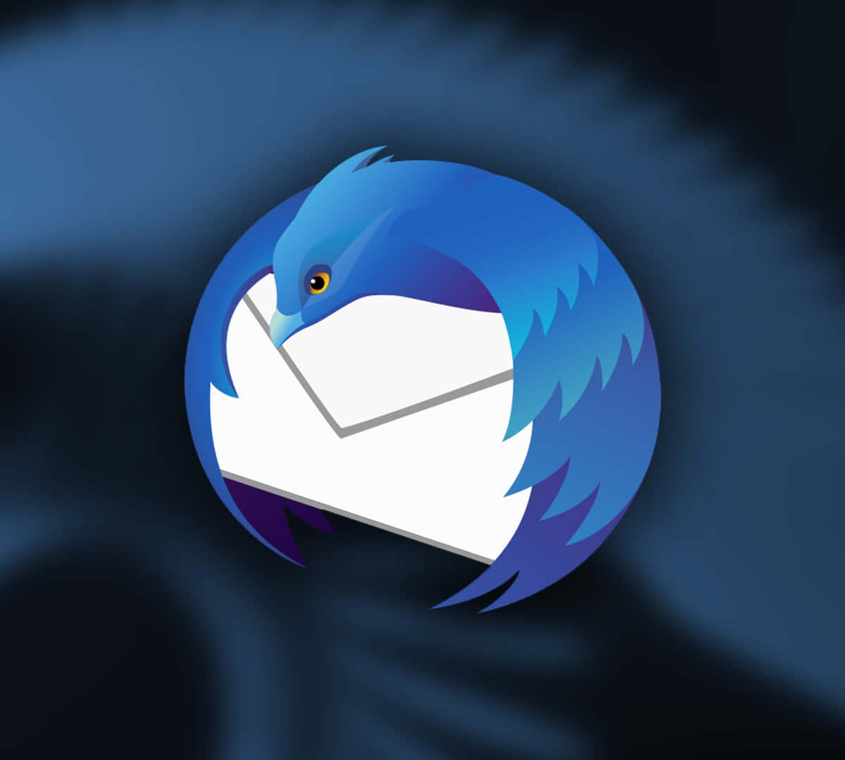 Thunderbird, blue bird, yellow eye, SD Desktop Wallpaper