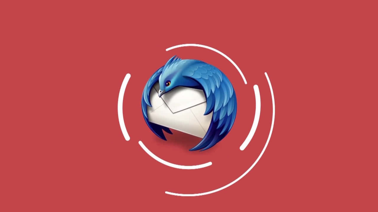Thunderbird, red background, blue bird, HD Desktop Wallpaper
