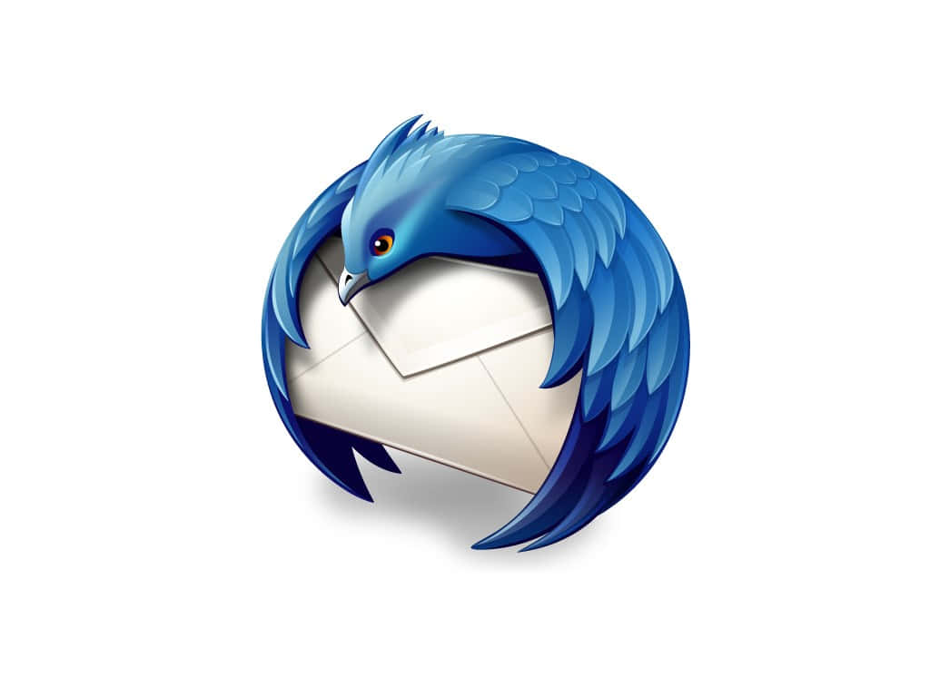 Thunderbird, blue bird, detailed feathers, SD Desktop Wallpaper