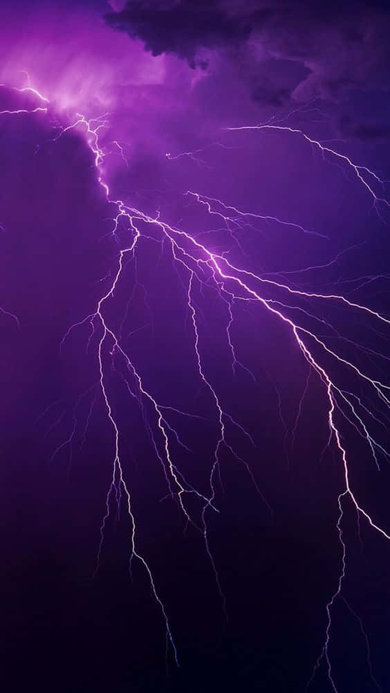 purple lightning, jagged electric bolts, dark clouds, SD Phone Wallpaper