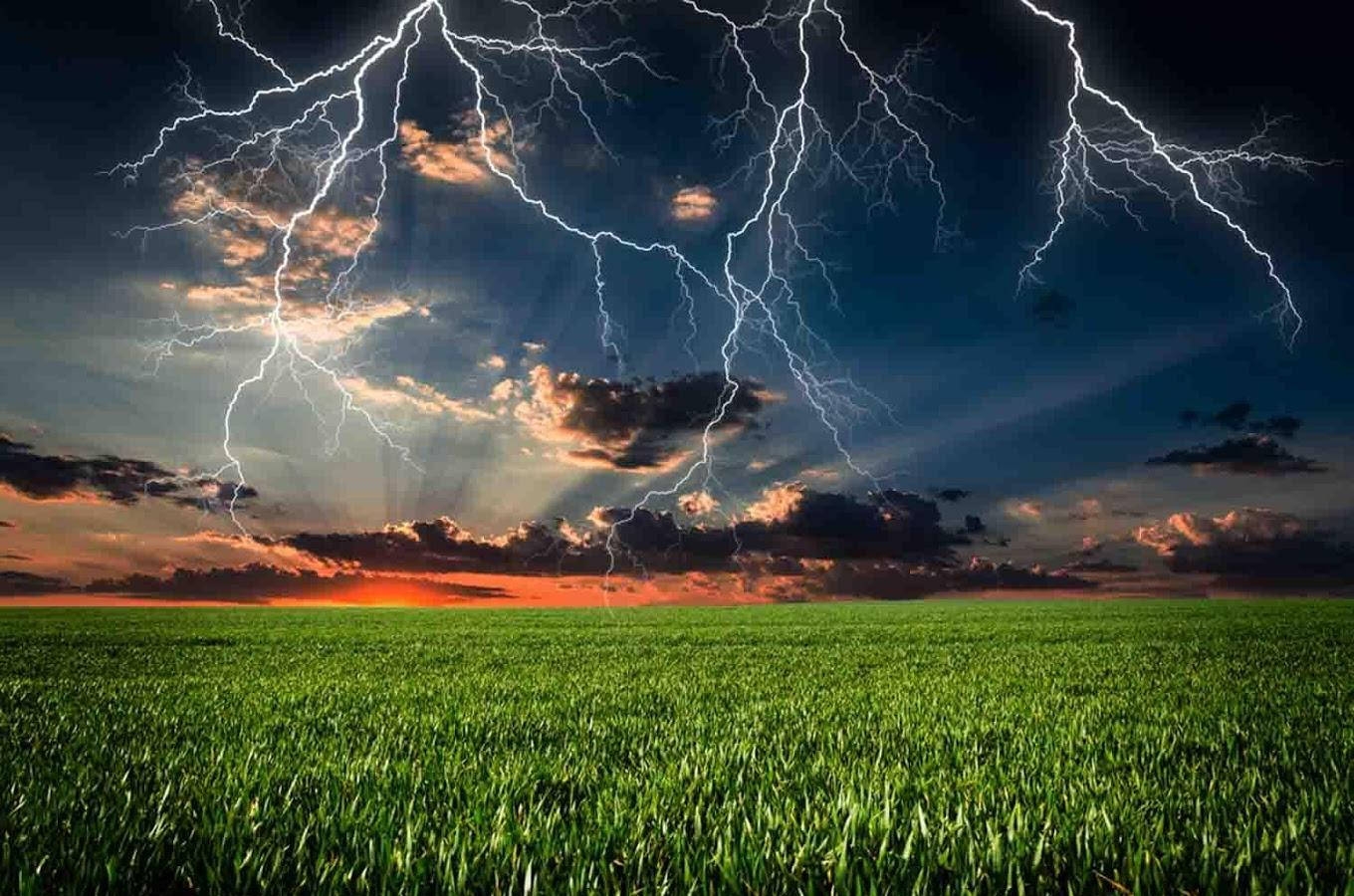Thunderstorm, field, lightning bolts, HD Desktop Wallpaper